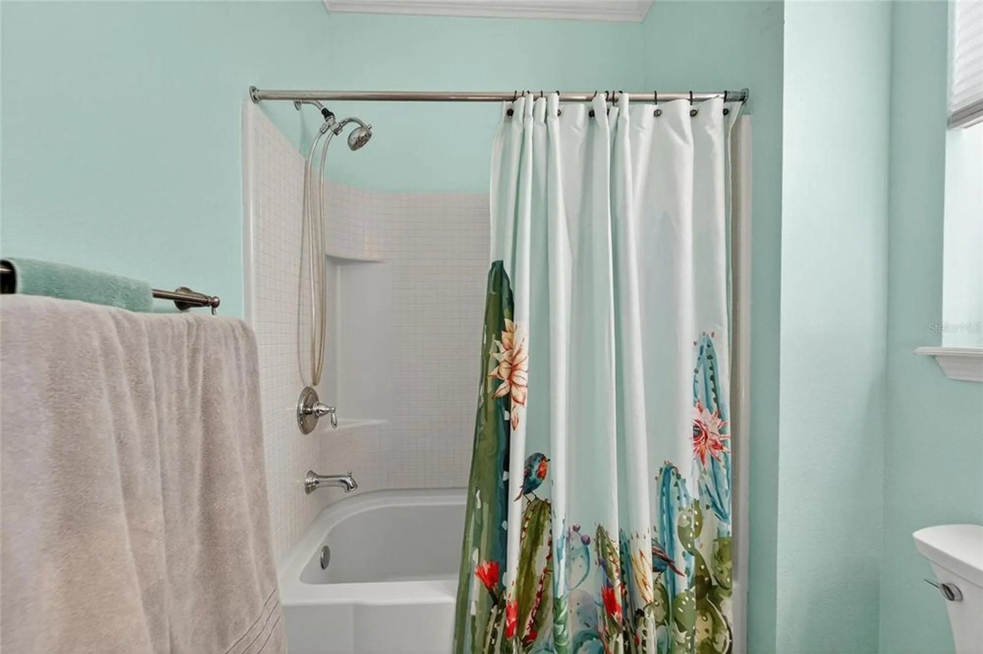 Property Slideshow image 36 of 72 | 420 cedar falls dr, Apollo Beach, FL, 33572