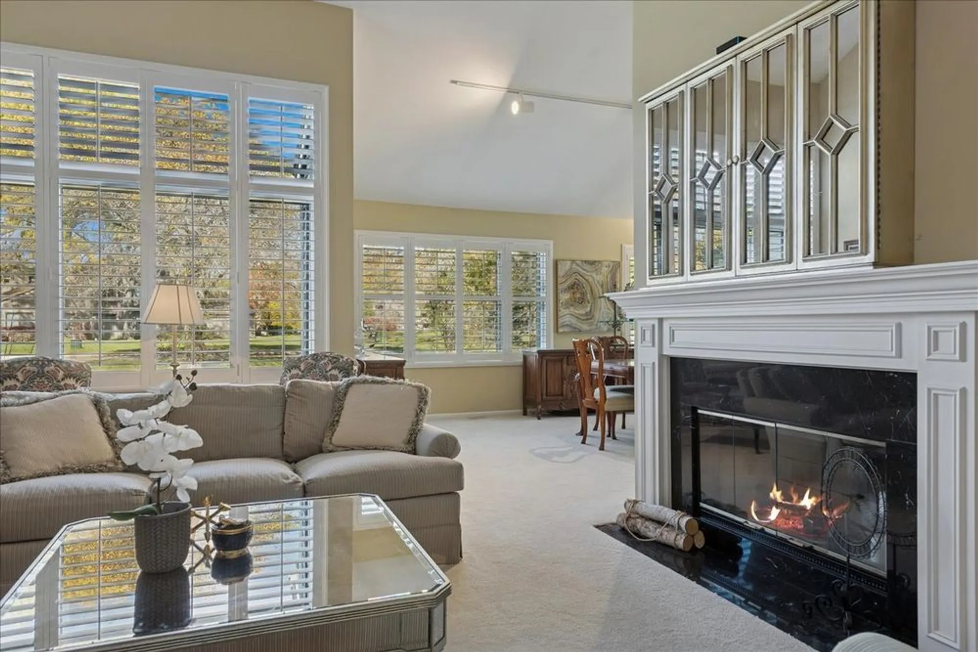 Property Slideshow image 10 of 55 | 868 longmeadow ct, Lake Barrington, IL, 60010