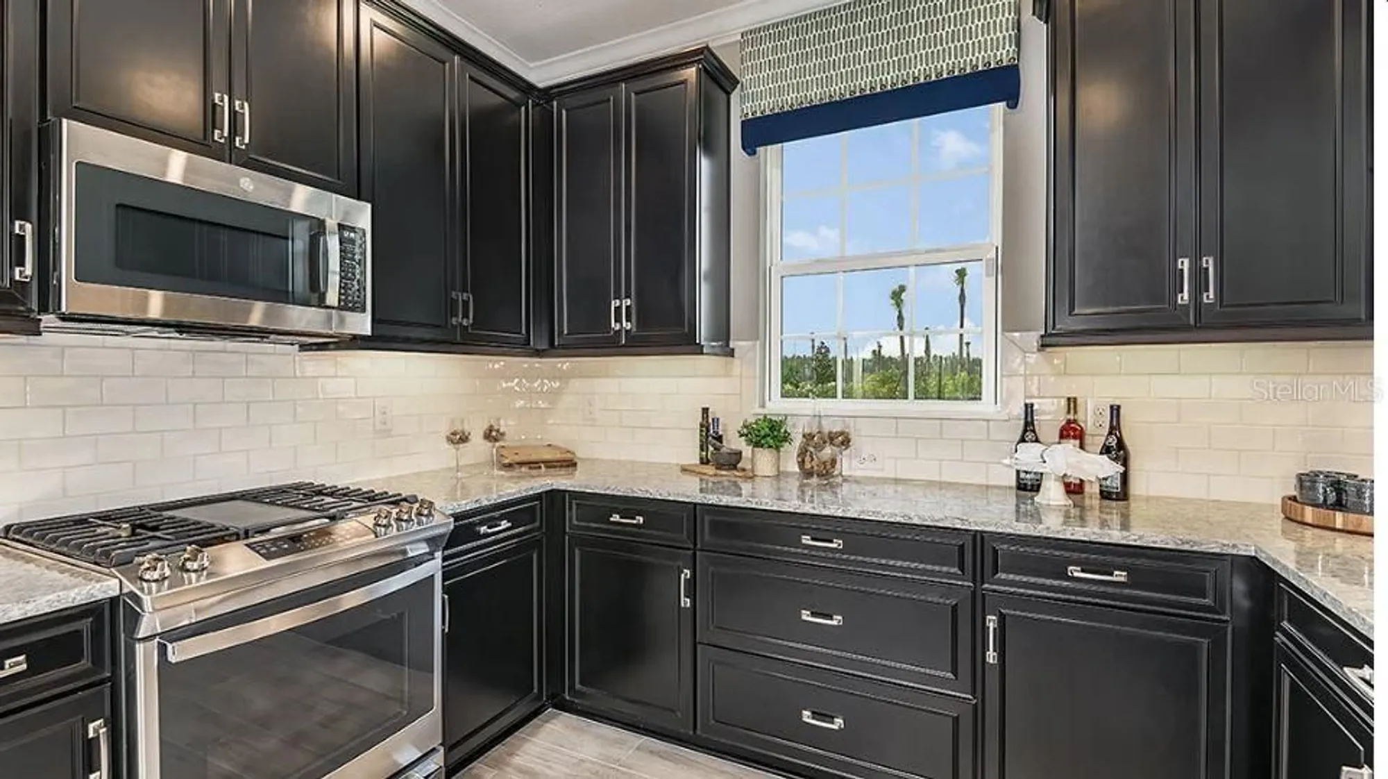 Property Slideshow image 11 of 22 | 29536 zupetta ln, Wesley Chapel, FL, 33543