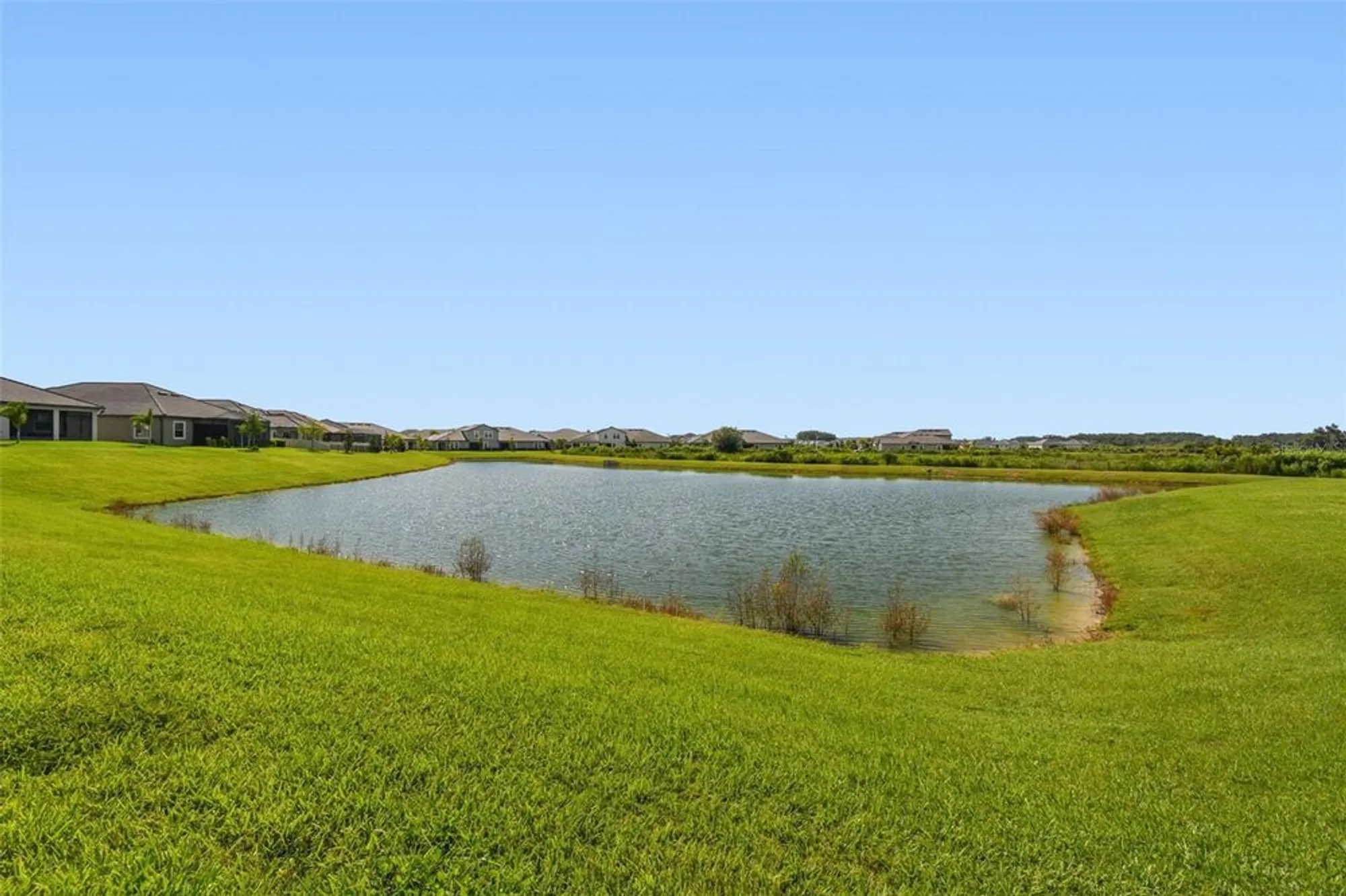 Property Slideshow image 75 of 100 | 31896 magna gulf loop, San Antonio, FL, 33576