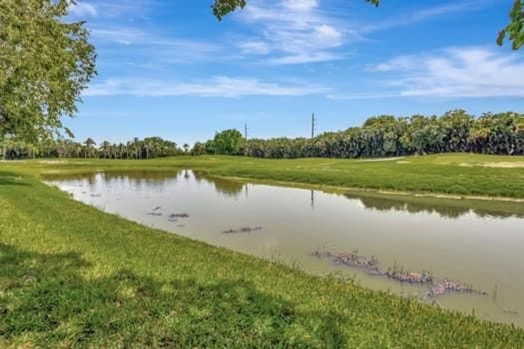 Property Slideshow image 48 of 55 | 11917 fountainside cir, Boynton Beach, FL, 33437