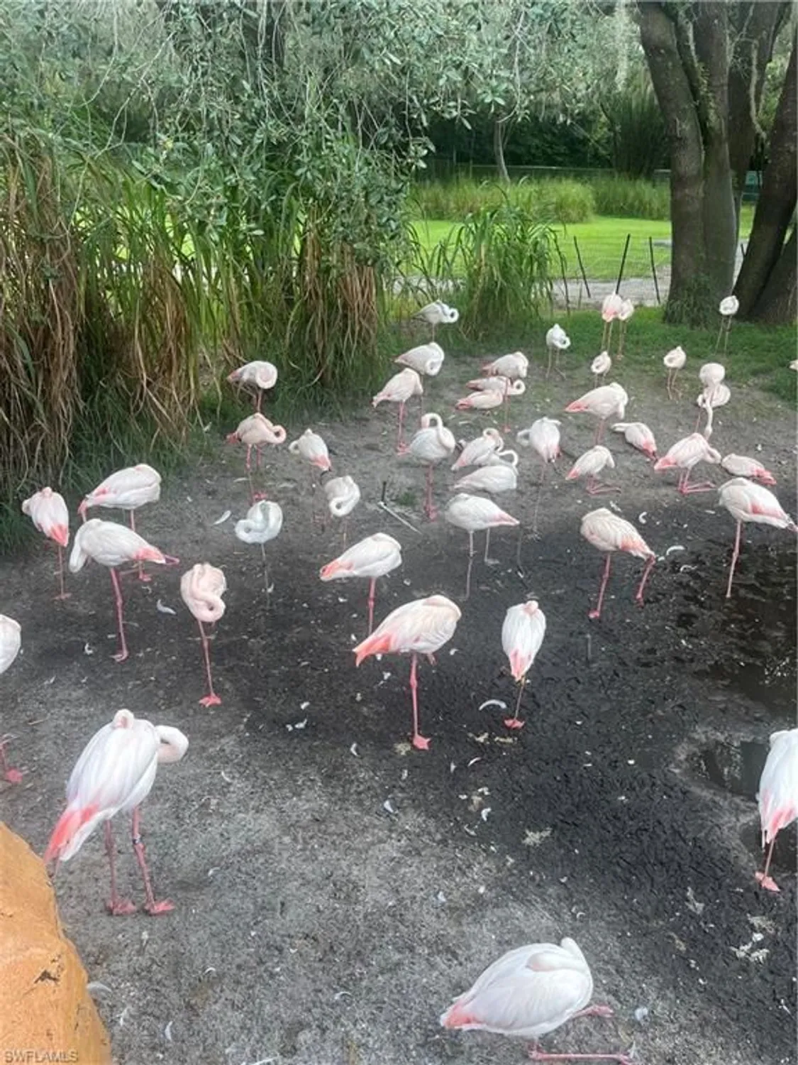 Property Slideshow image 38 of 38 | 24360 sandpiper isle way 205, Bonita Springs, FL, 34134