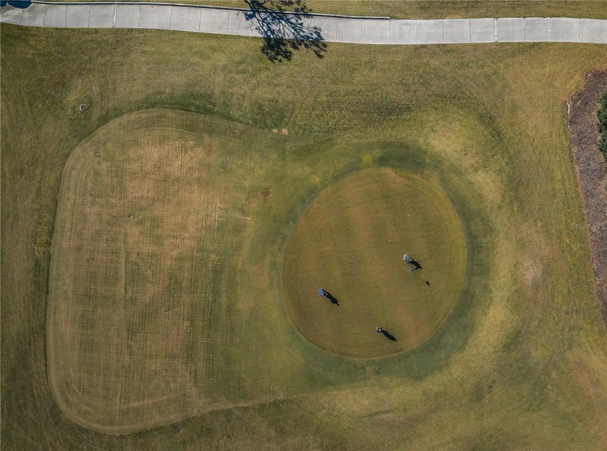 Property Slideshow image 87 of 100 | 3420 stonehaven ct d, Palm Harbor, FL, 34684