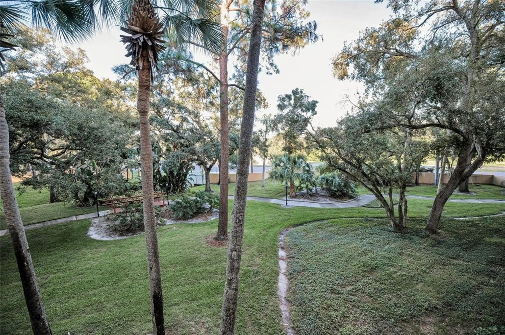 Property Slideshow image 25 of 85 | 3062 eastland blvd 105, Clearwater, FL, 33761