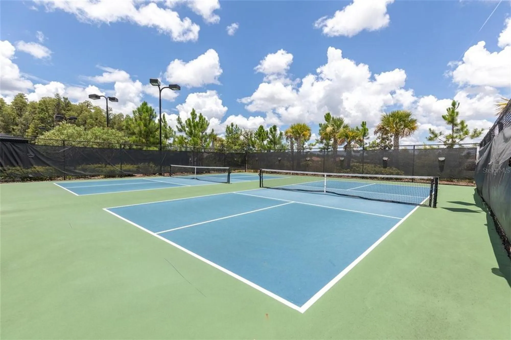 Property Slideshow image 55 of 64 | 3239 forsythia dr, Odessa, FL, 33556