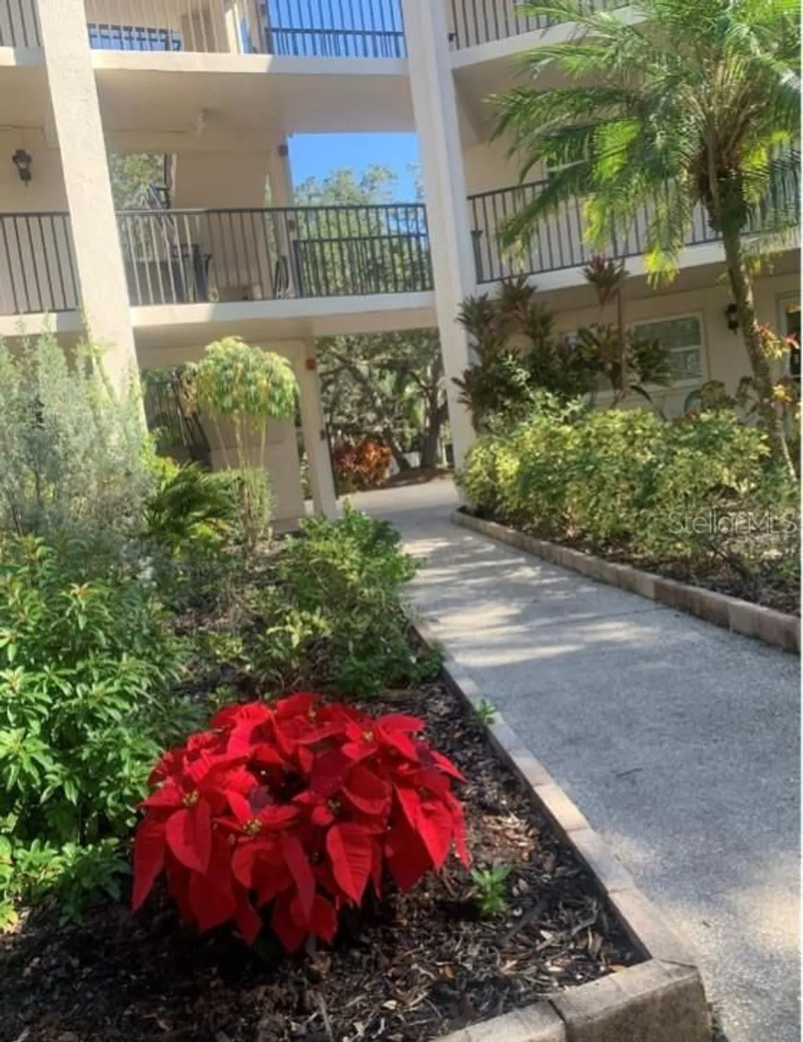 Property Slideshow image 45 of 52 | 840 virginia st 108, Dunedin, FL, 34698