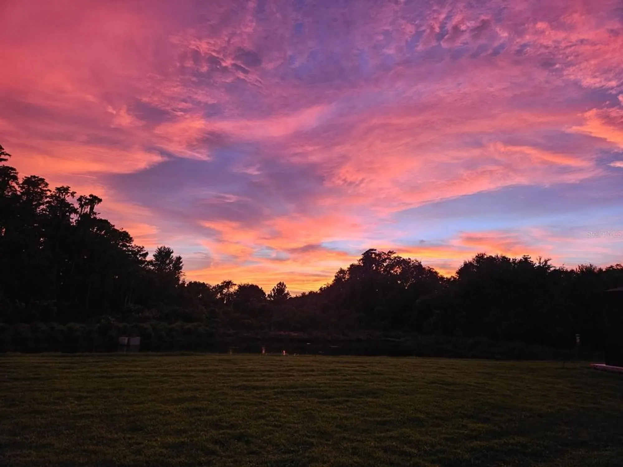 Property Slideshow image 49 of 91 | 4831 rosatti rd, Wesley Chapel, FL, 33543