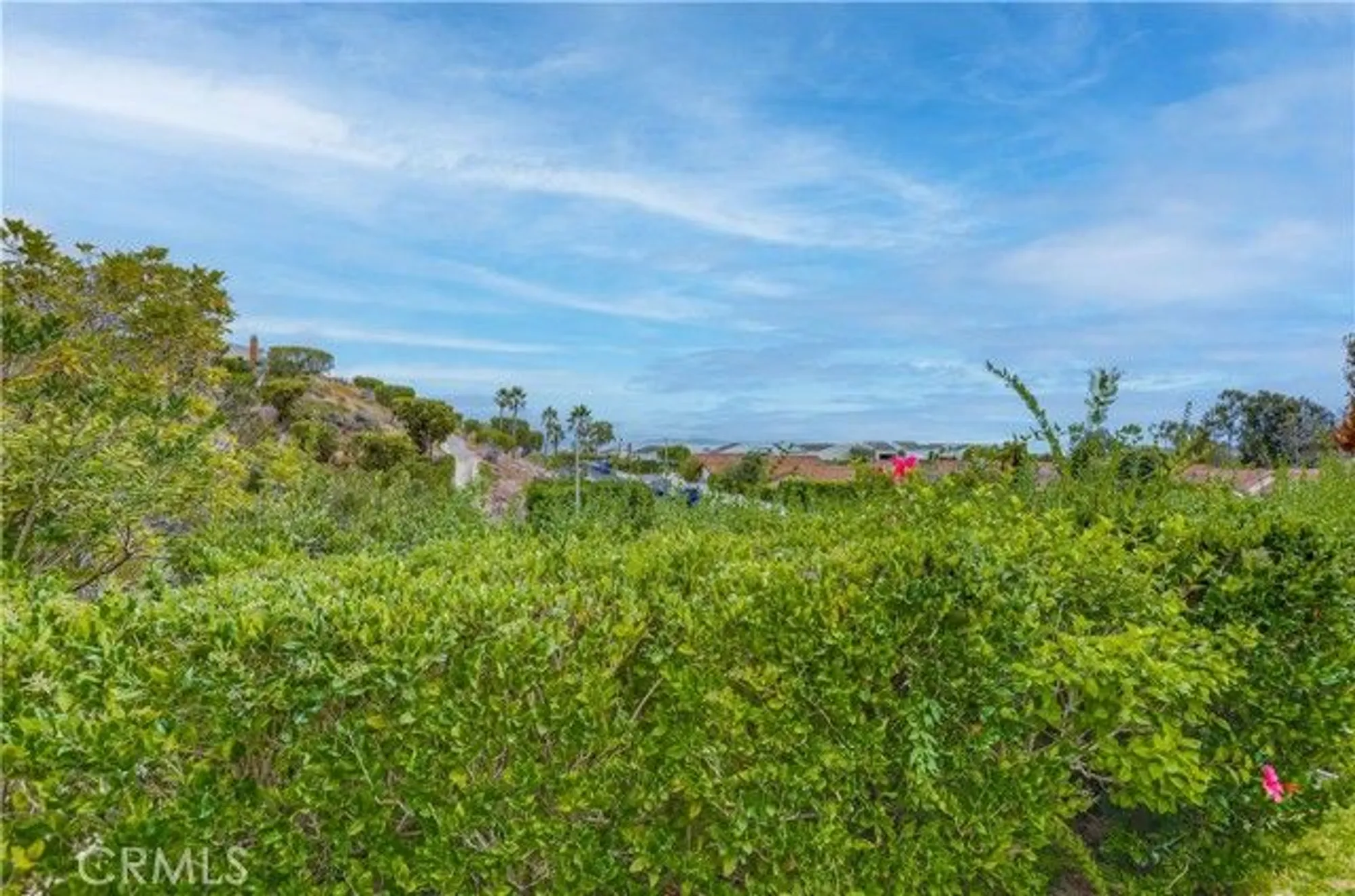 Property Slideshow image 47 of 53 | 22876 montalvo rd, Laguna Niguel, CA, 92677