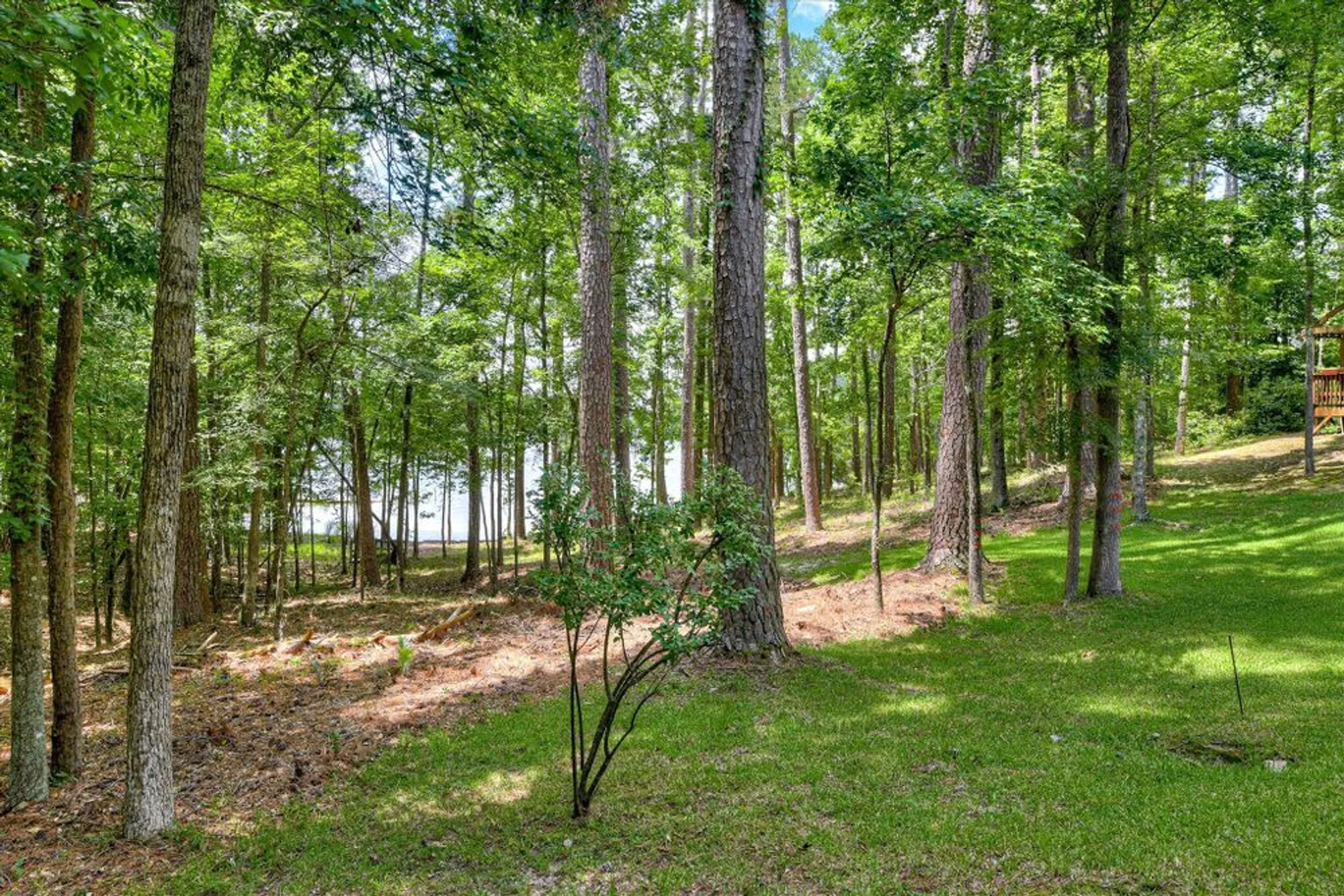 Property Slideshow image 52 of 72 | 204 chickadee ct, Mc Cormick, SC, 29835