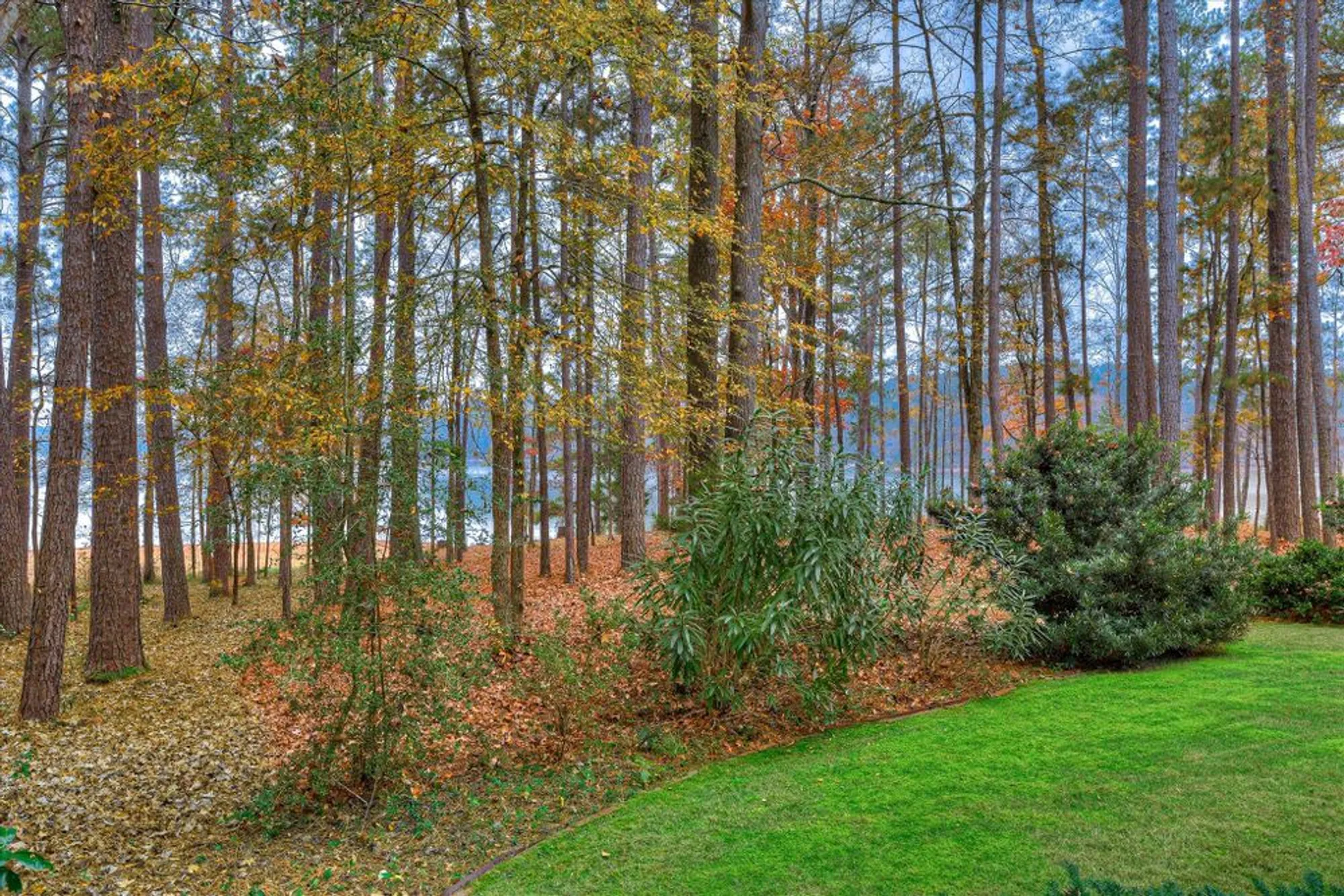 Property Slideshow image 48 of 70 | 206 roujon trce, Mc Cormick, SC, 29835