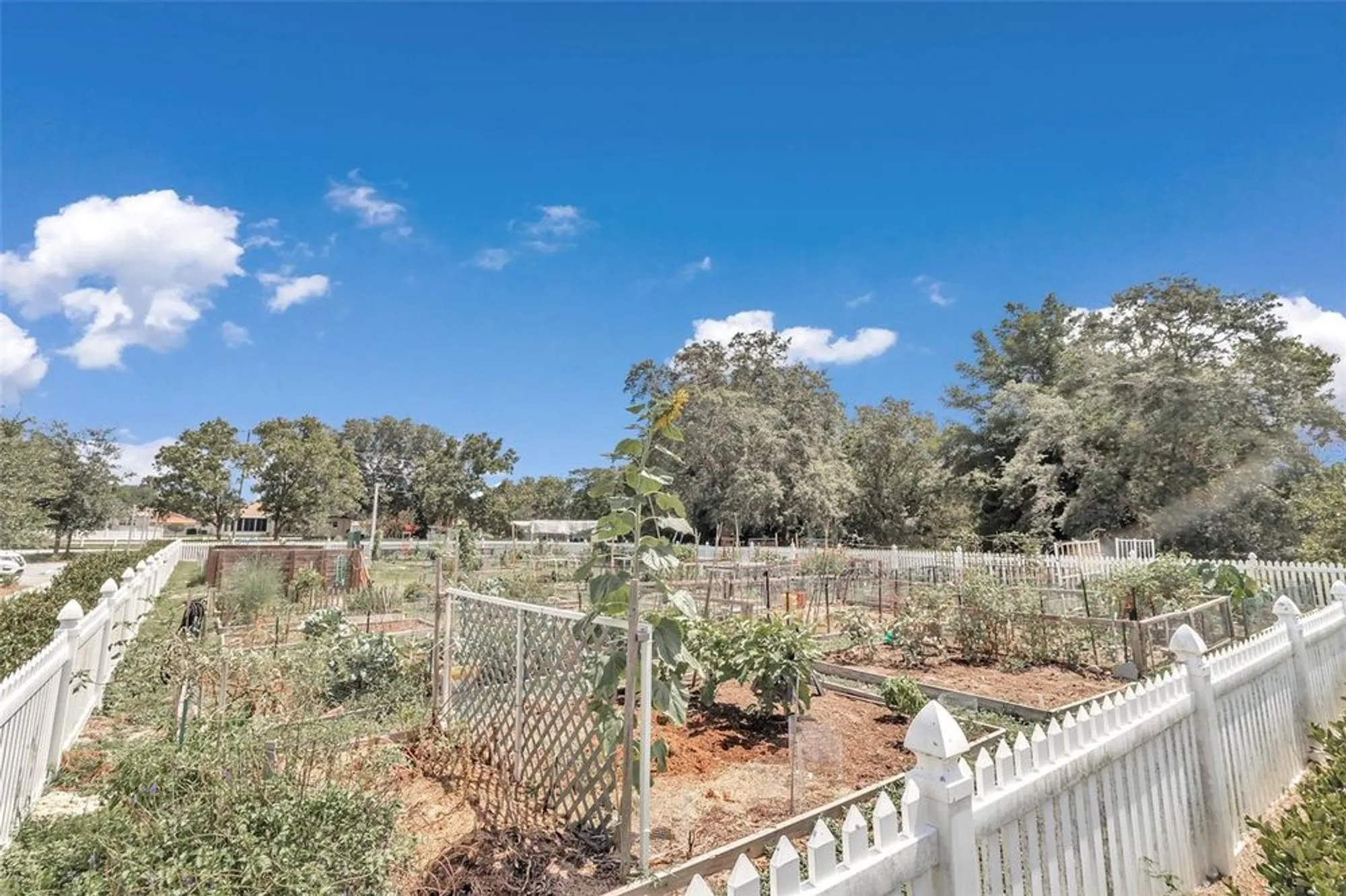 Property Slideshow image 55 of 63 | 8932 sw 101st cir, Ocala, FL, 34481