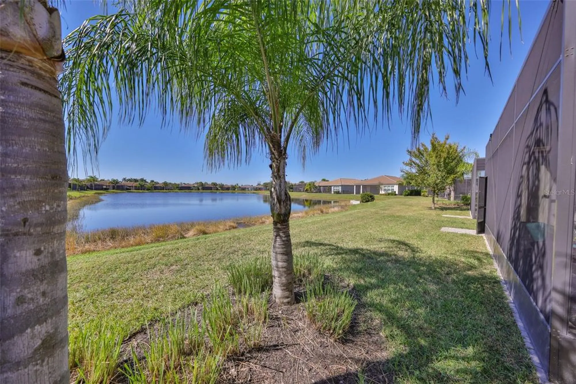 Property Slideshow image 29 of 44 | 15527 corona del mar dr, Wimauma, FL, 33598