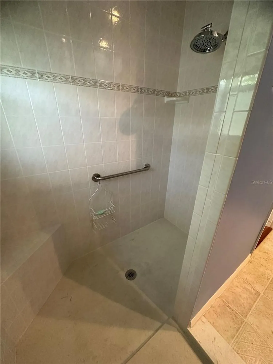 Property Slideshow image 20 of 25 | 7886 se 167th mistwood ln, The Villages, FL, 32162