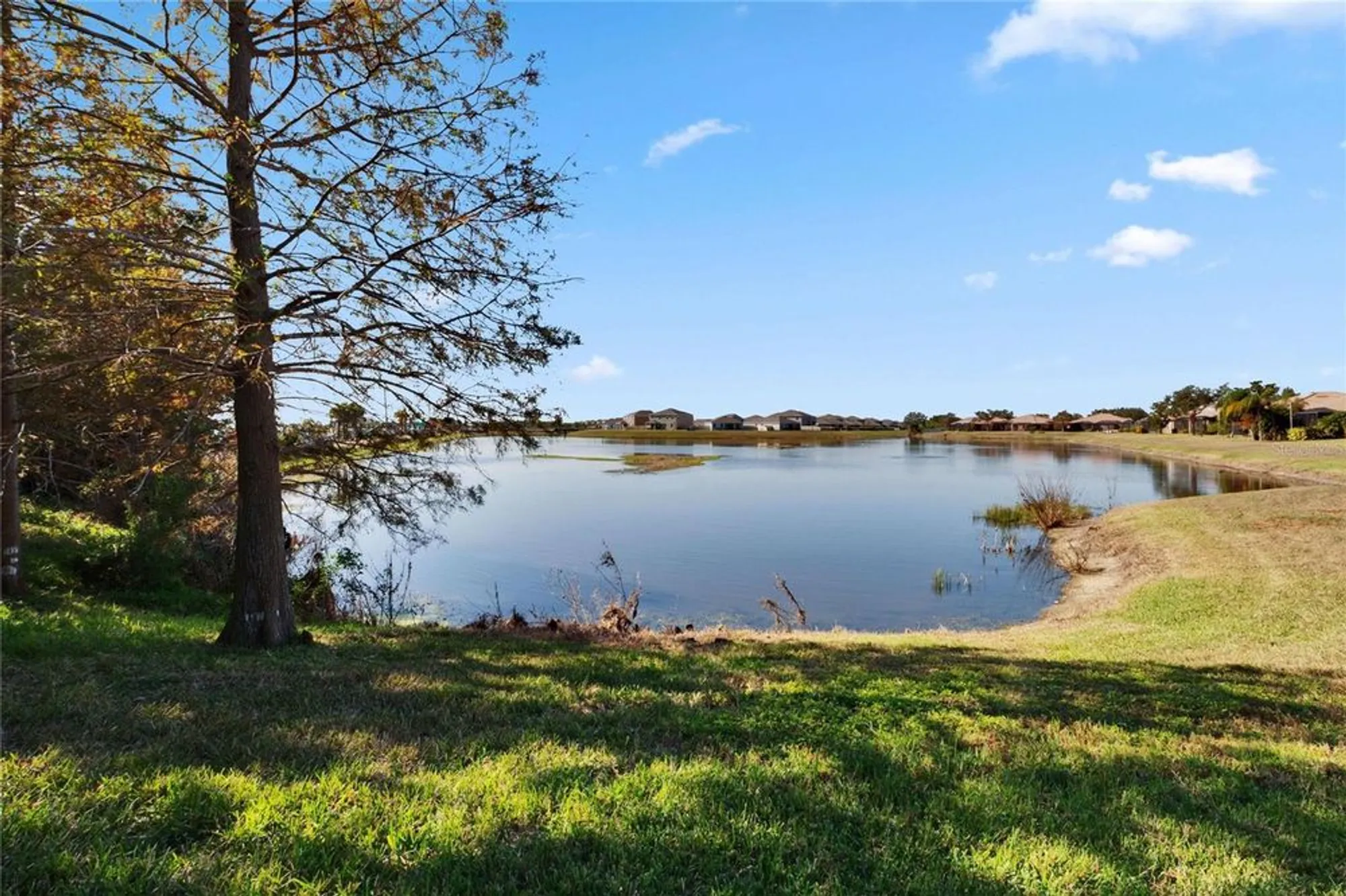 Property Slideshow image 49 of 67 | 204 mystic falls dr, Apollo Beach, FL, 33572