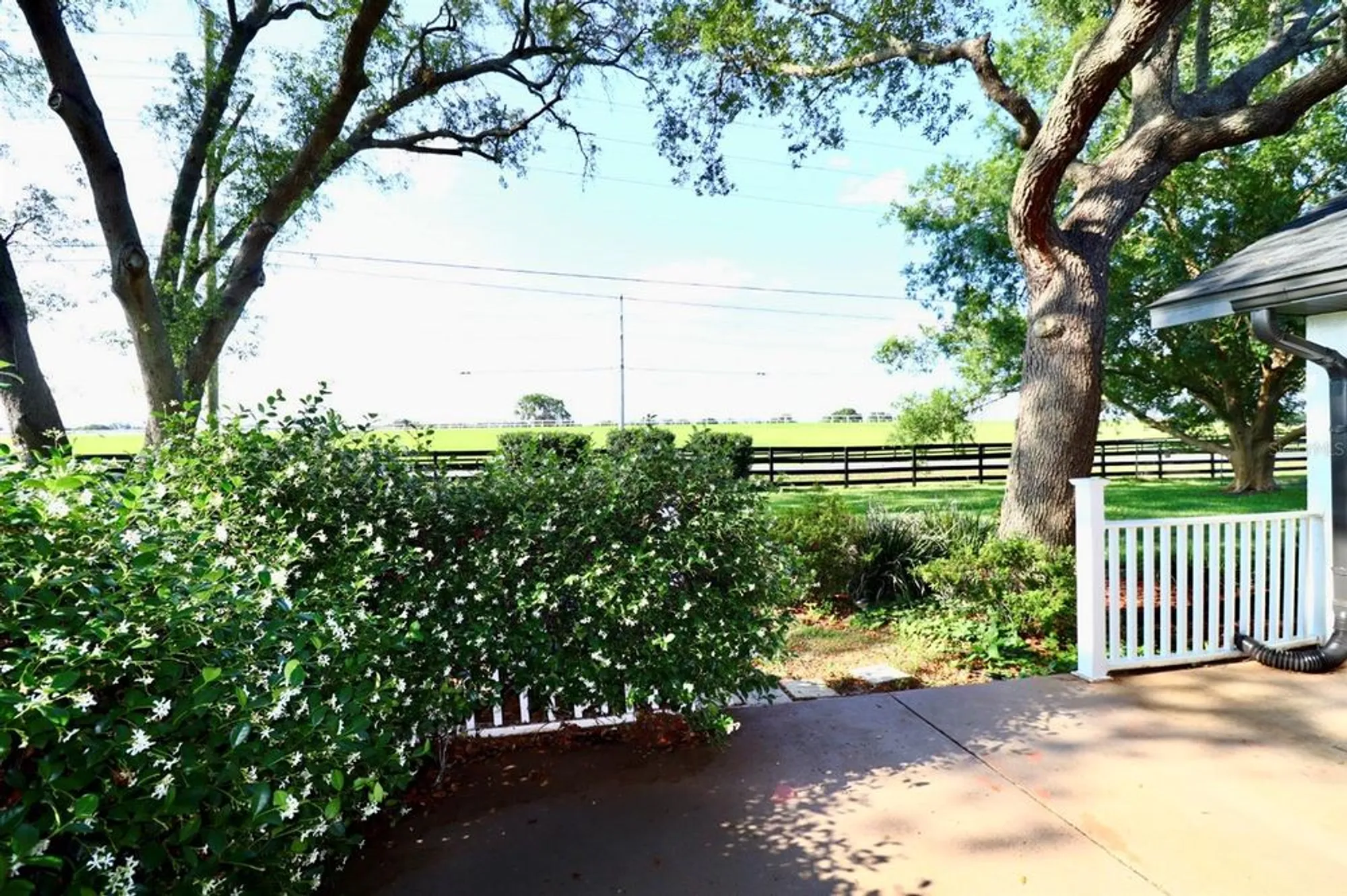 Property Slideshow image 26 of 33 | 5351 sw 80th pl, Ocala, FL, 34476