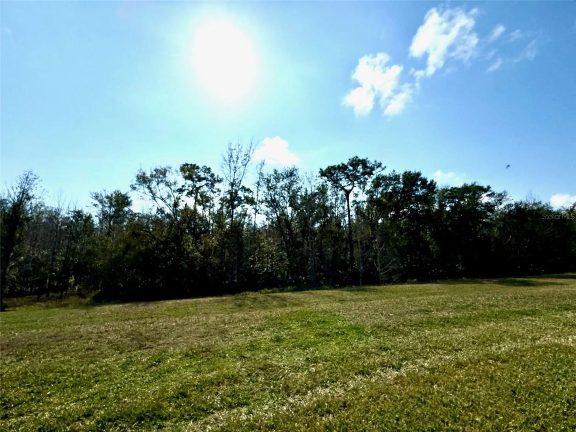 Property Slideshow image 54 of 89 | 917 shorehaven dr, Poinciana, FL, 34759