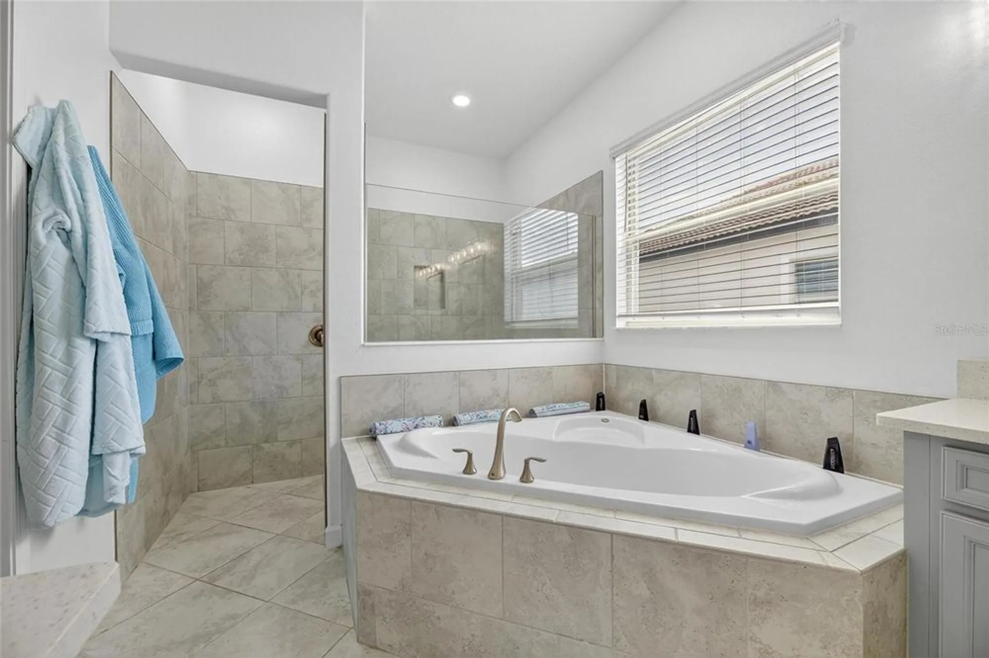 Property Slideshow image 39 of 91 | 16805 banner shell pl, Wimauma, FL, 33598