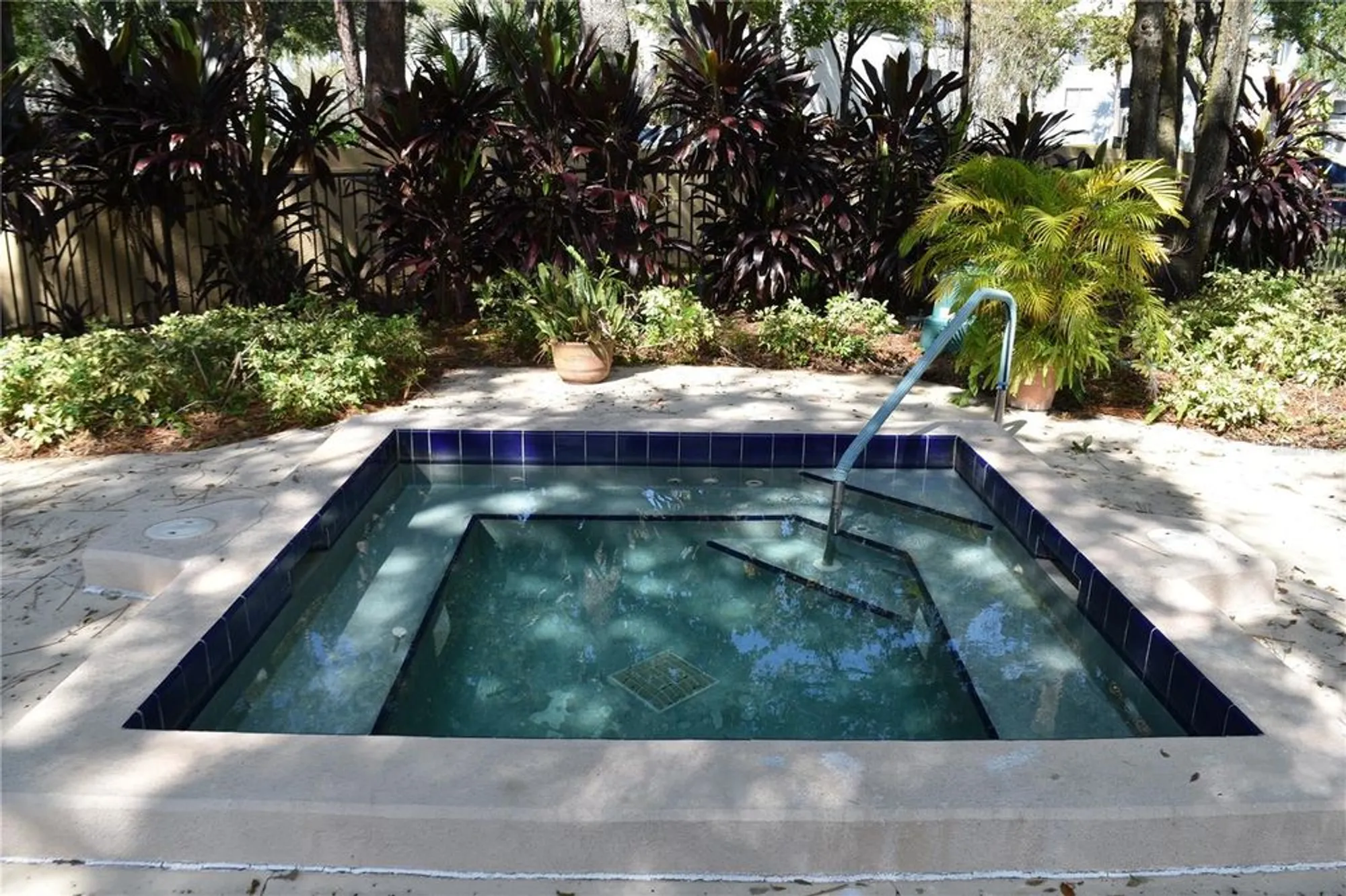 Property Slideshow image 55 of 59 | 3062 eastland blvd # d206, Clearwater, FL, 33761