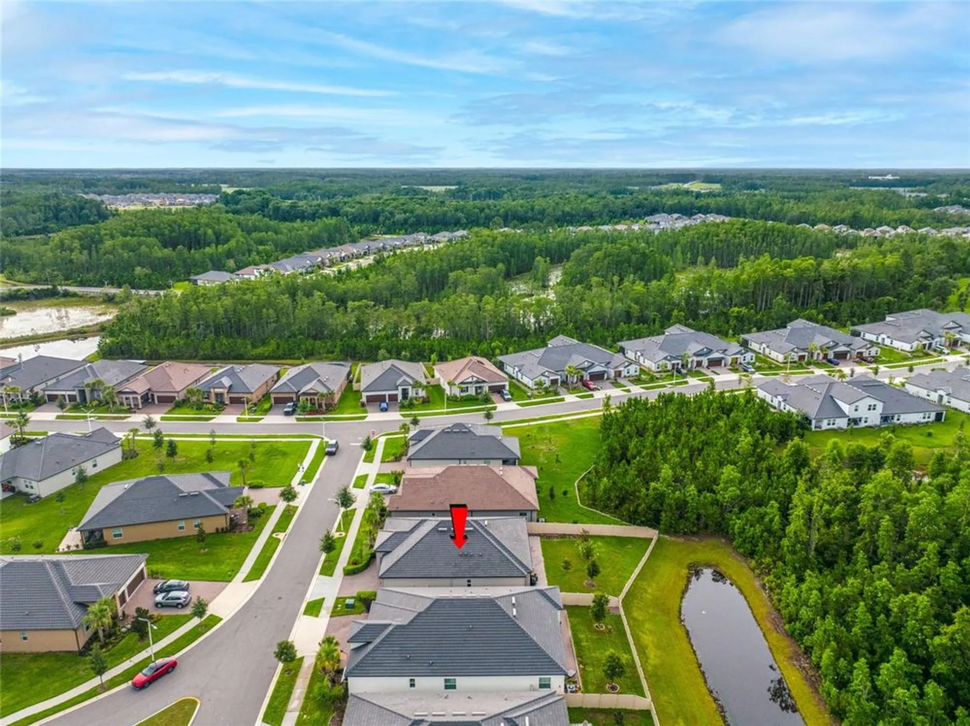 Property Slideshow image 72 of 93 | 10639 bailey pearl ct, Land O Lakes, FL, 34638