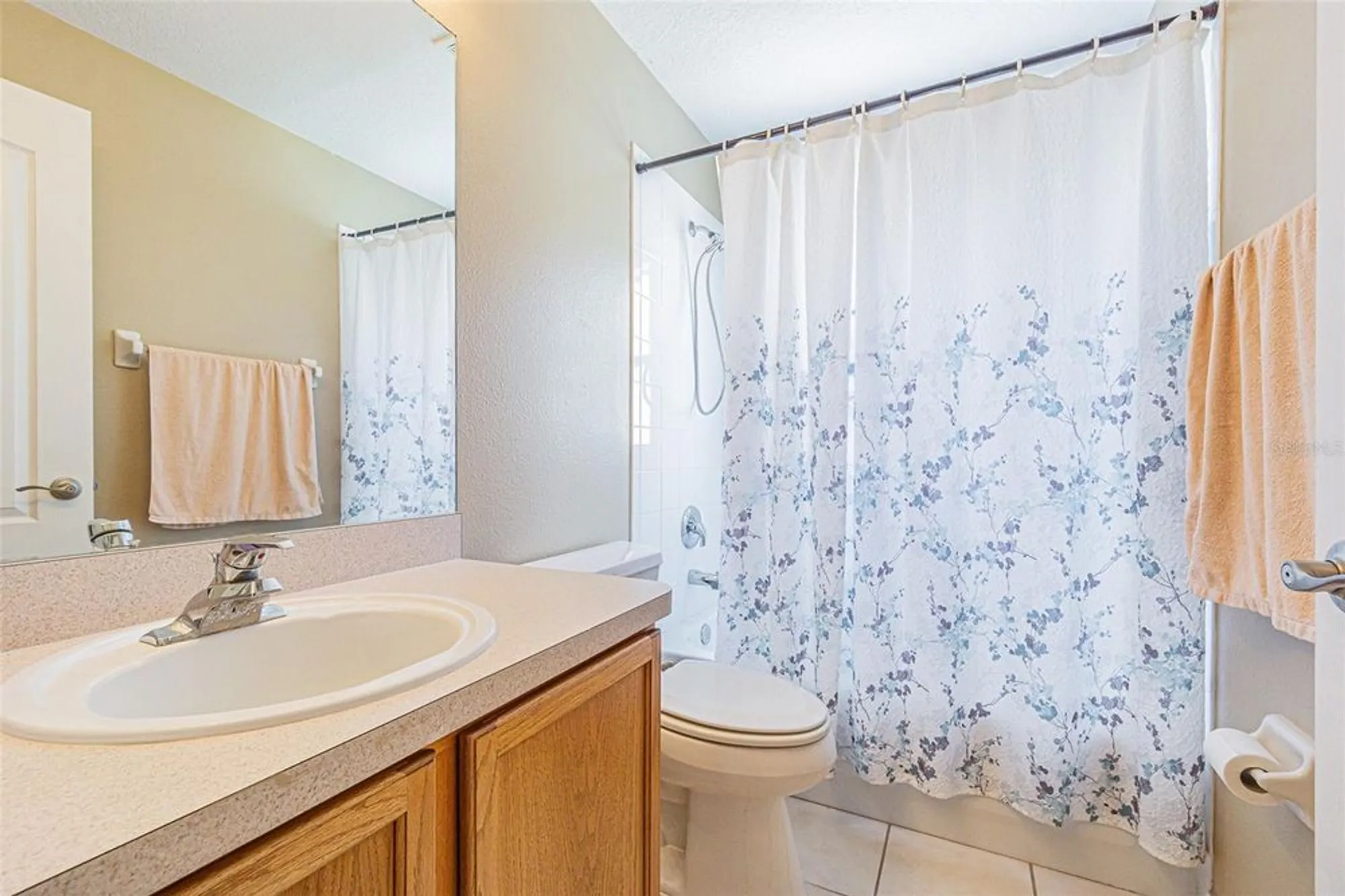 Property Slideshow image 22 of 47 | 10809 collar dr, San Antonio, FL, 33576