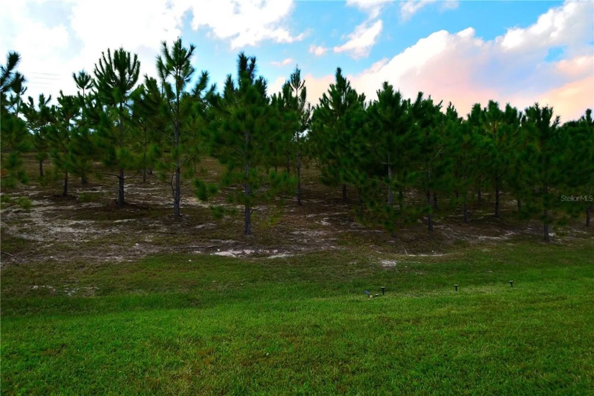 Property Slideshow image 26 of 53 | 409 almansa st, Davenport, FL, 33837