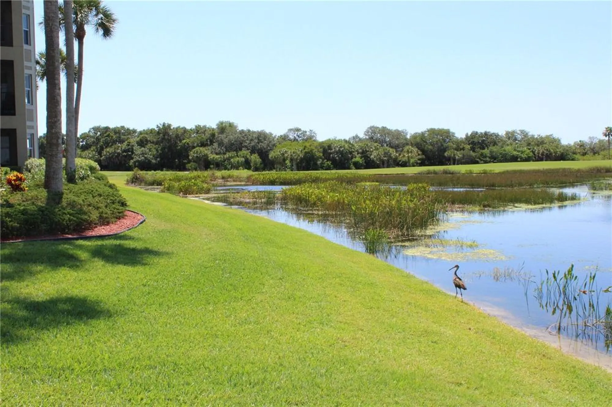 Property Slideshow image 23 of 49 | 7803 grand estuary trl 205, Bradenton, FL, 34212