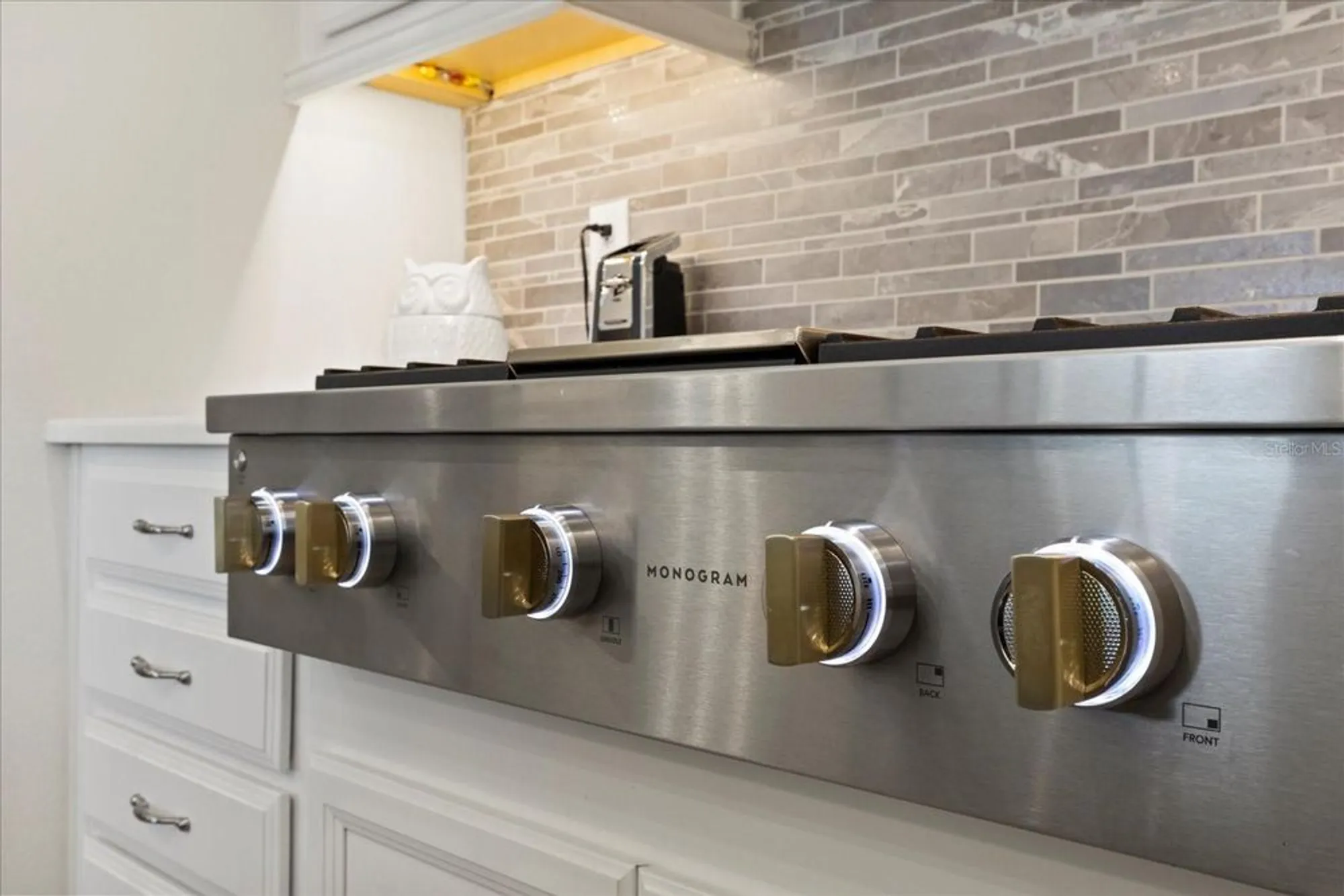 Property Slideshow image 12 of 91 | 11398 juglans dr, Odessa, FL, 33556