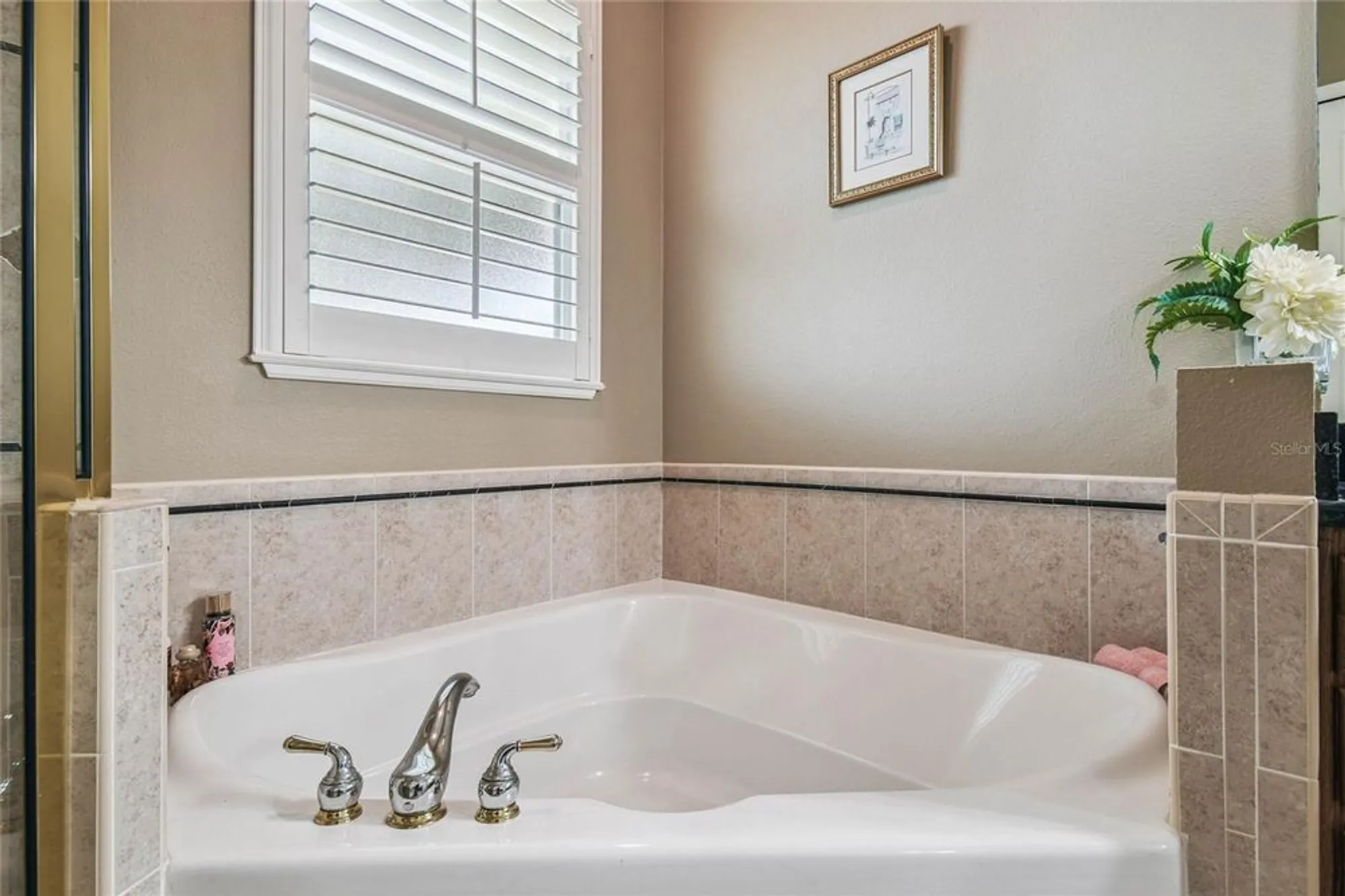 Property Slideshow image 30 of 56 | 542 viterra ct, Kissimmee, FL, 34759