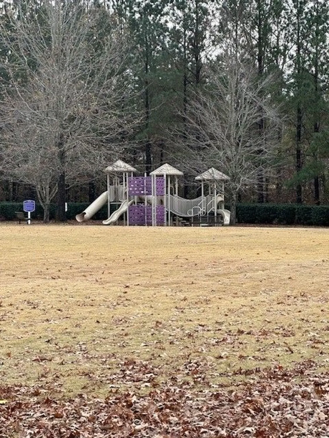 Property Slideshow image 53 of 56 | 1260 starboard way, Greensboro, GA, 30642