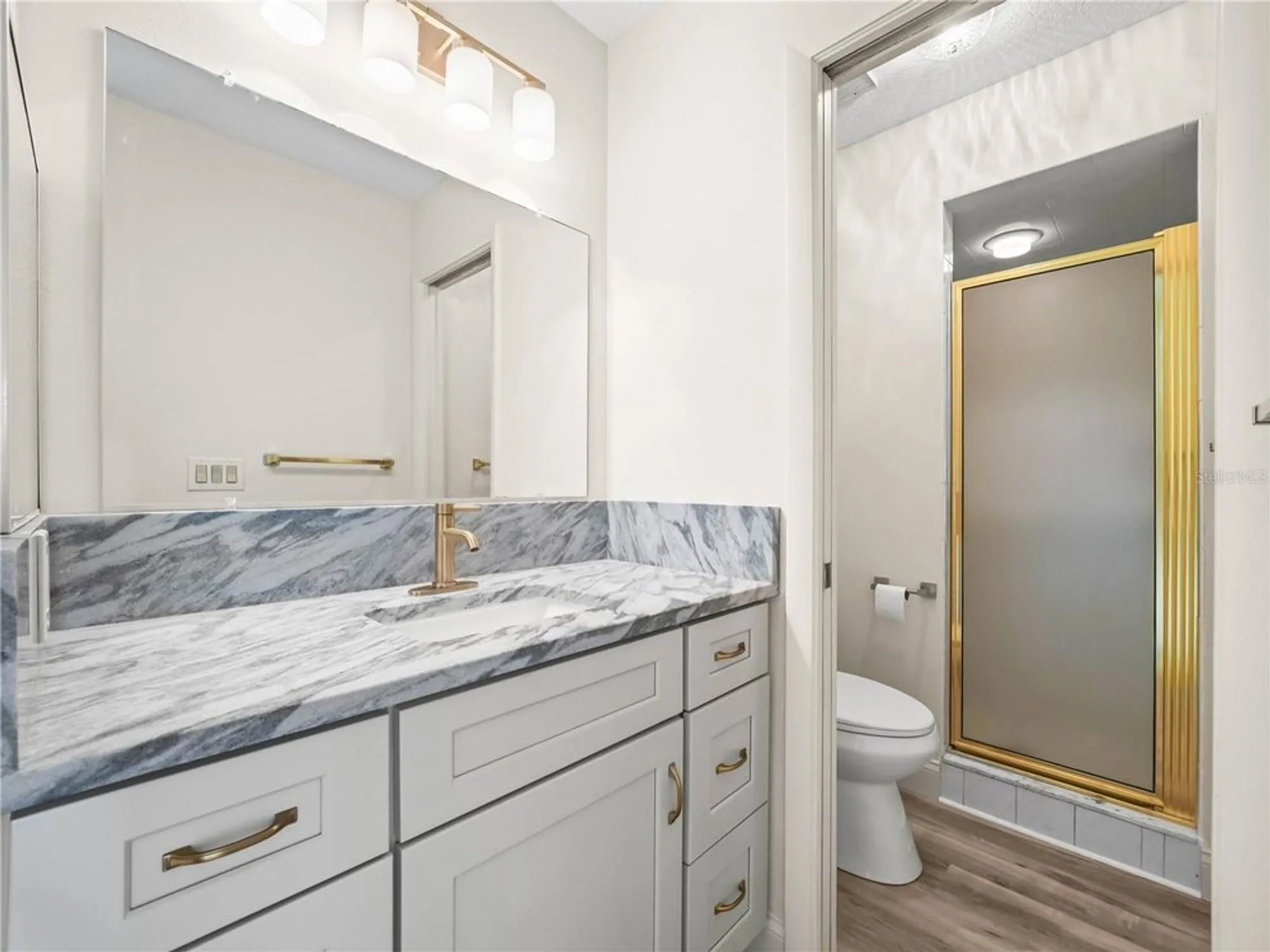 Property Slideshow image 11 of 20 | 6341 silver lakes dr, Lakeland, FL, 33810