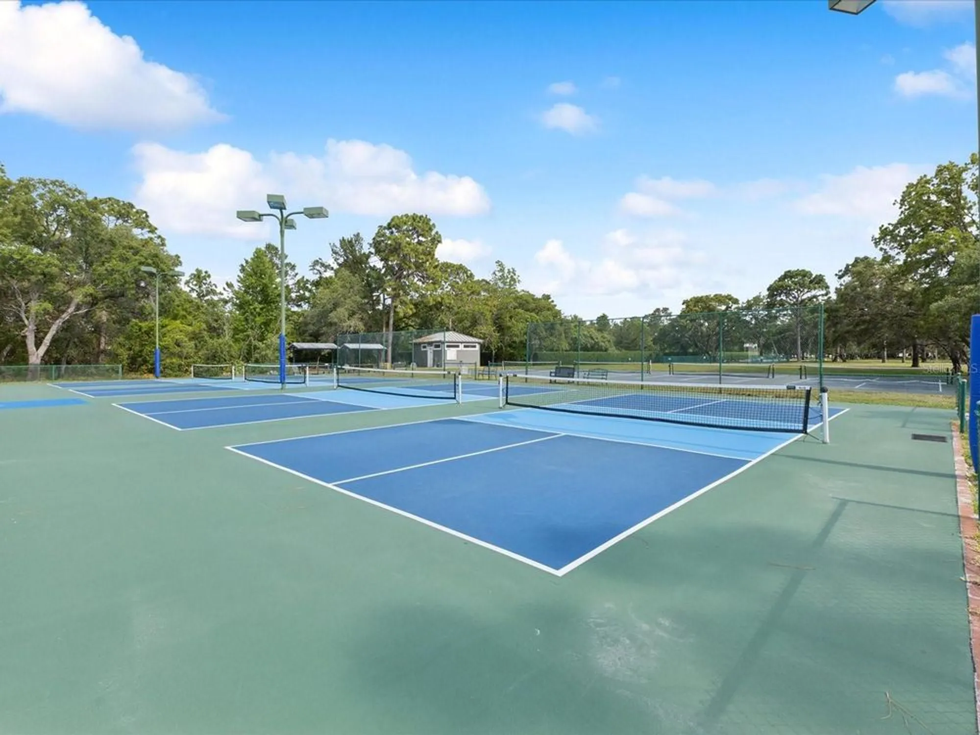 Property Slideshow image 79 of 82 | 10187 holly berry dr, Weeki Wachee, FL, 34613