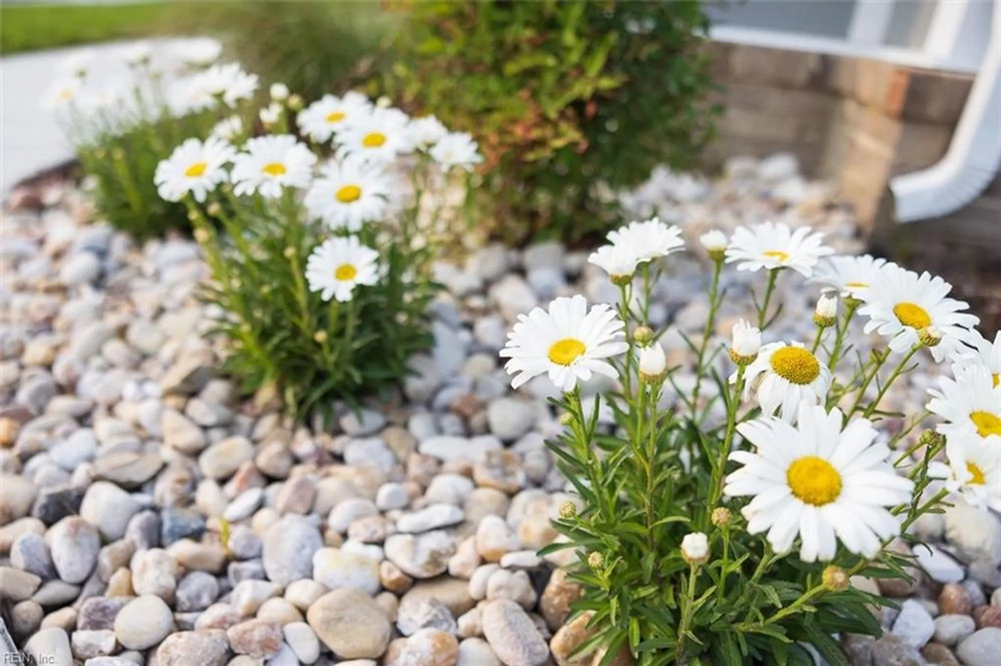 Property Slideshow image 25 of 25 | 2059 asher dr lot 5, Suffolk, VA, 23435