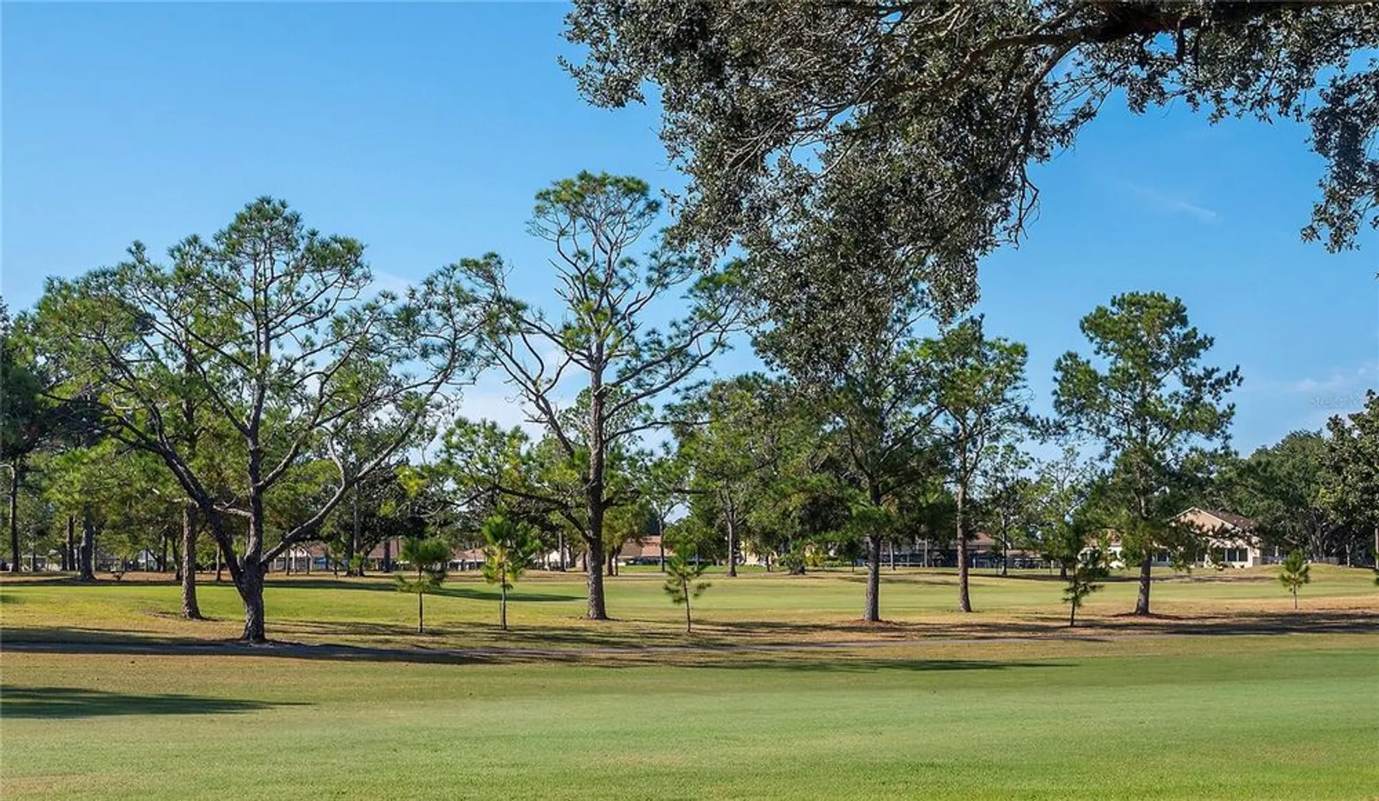 Property Slideshow image 39 of 57 | 1222 gillespie dr, Palm Harbor, FL, 34684