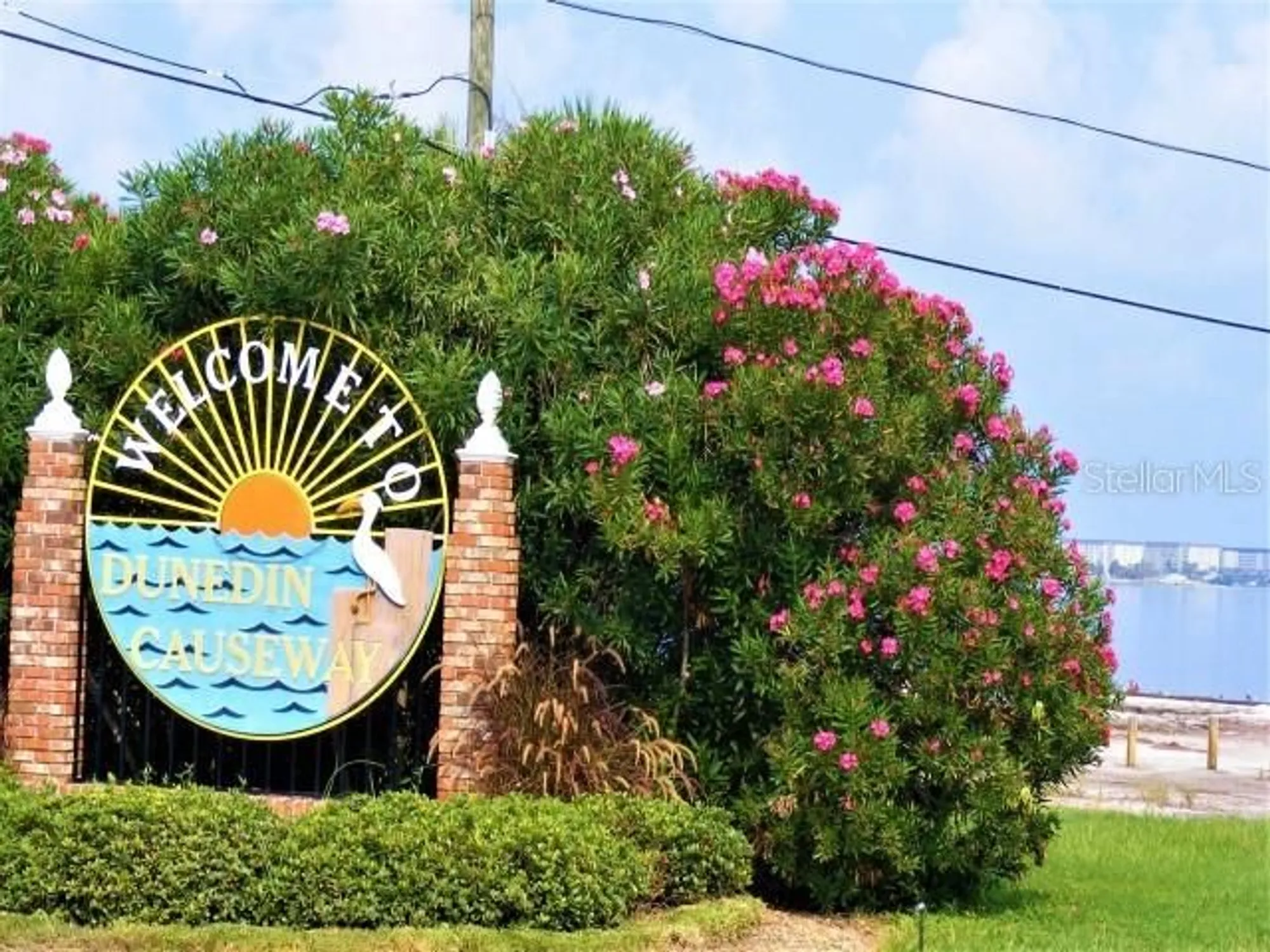 Property Slideshow image 64 of 84 | 1701 pinehurst rd apt 24b, Dunedin, FL, 34698