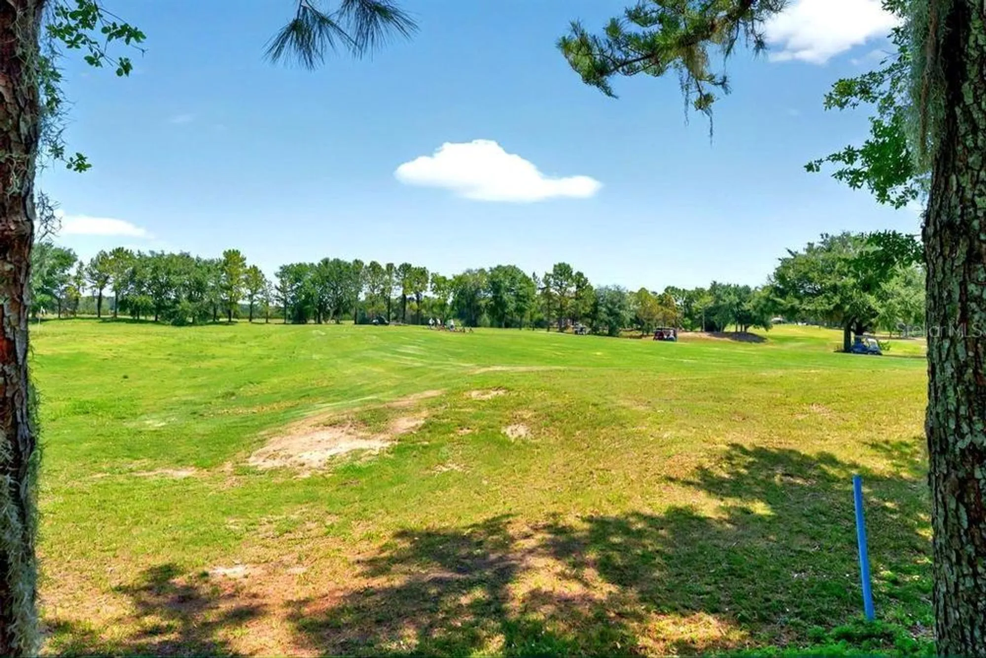 Property Slideshow image 5 of 38 | 27121 white plains way, Leesburg, FL, 34748