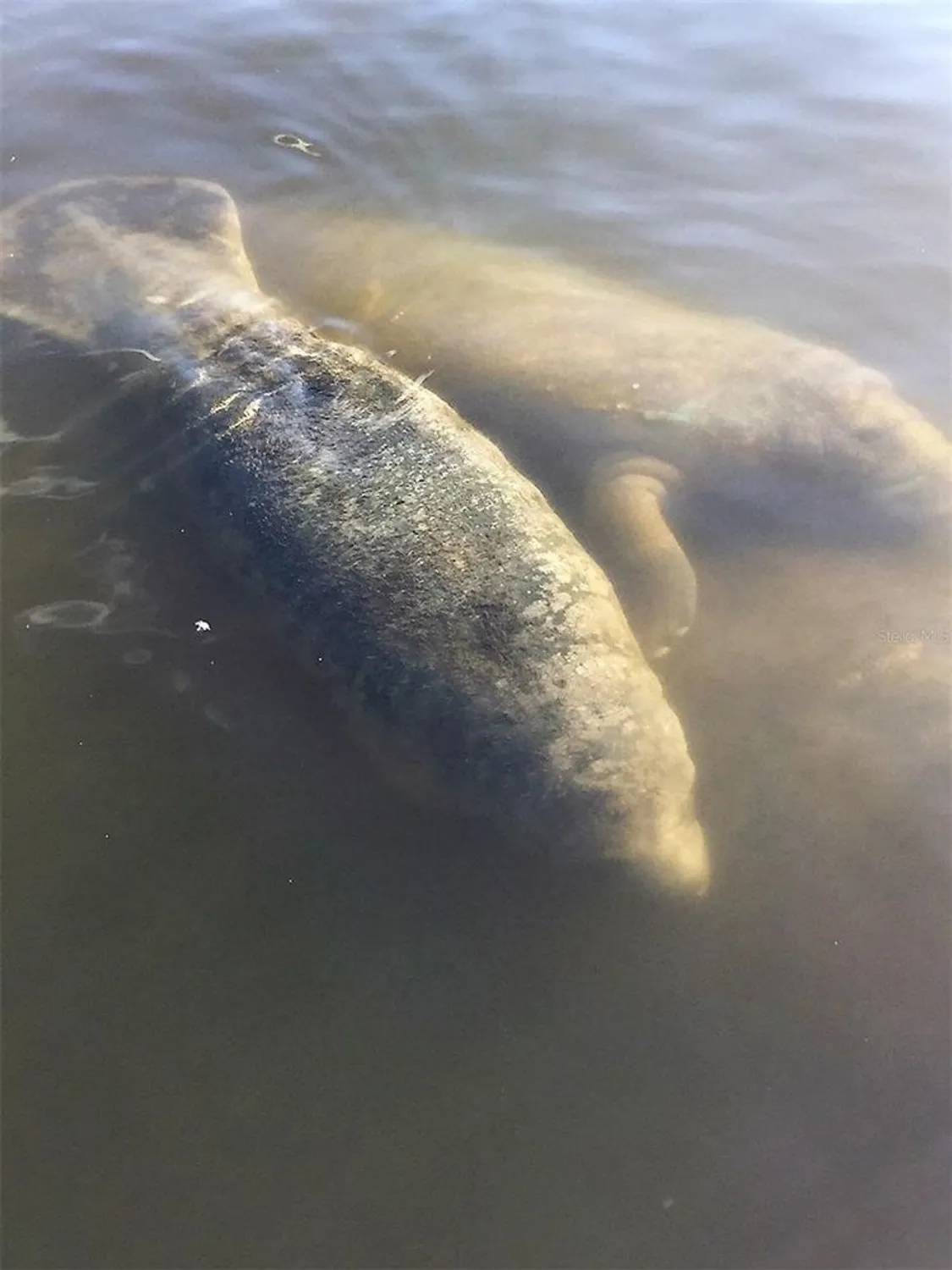 Property Slideshow image 55 of 58 | 801 islamorada blvd 22a, Punta Gorda, FL, 33955