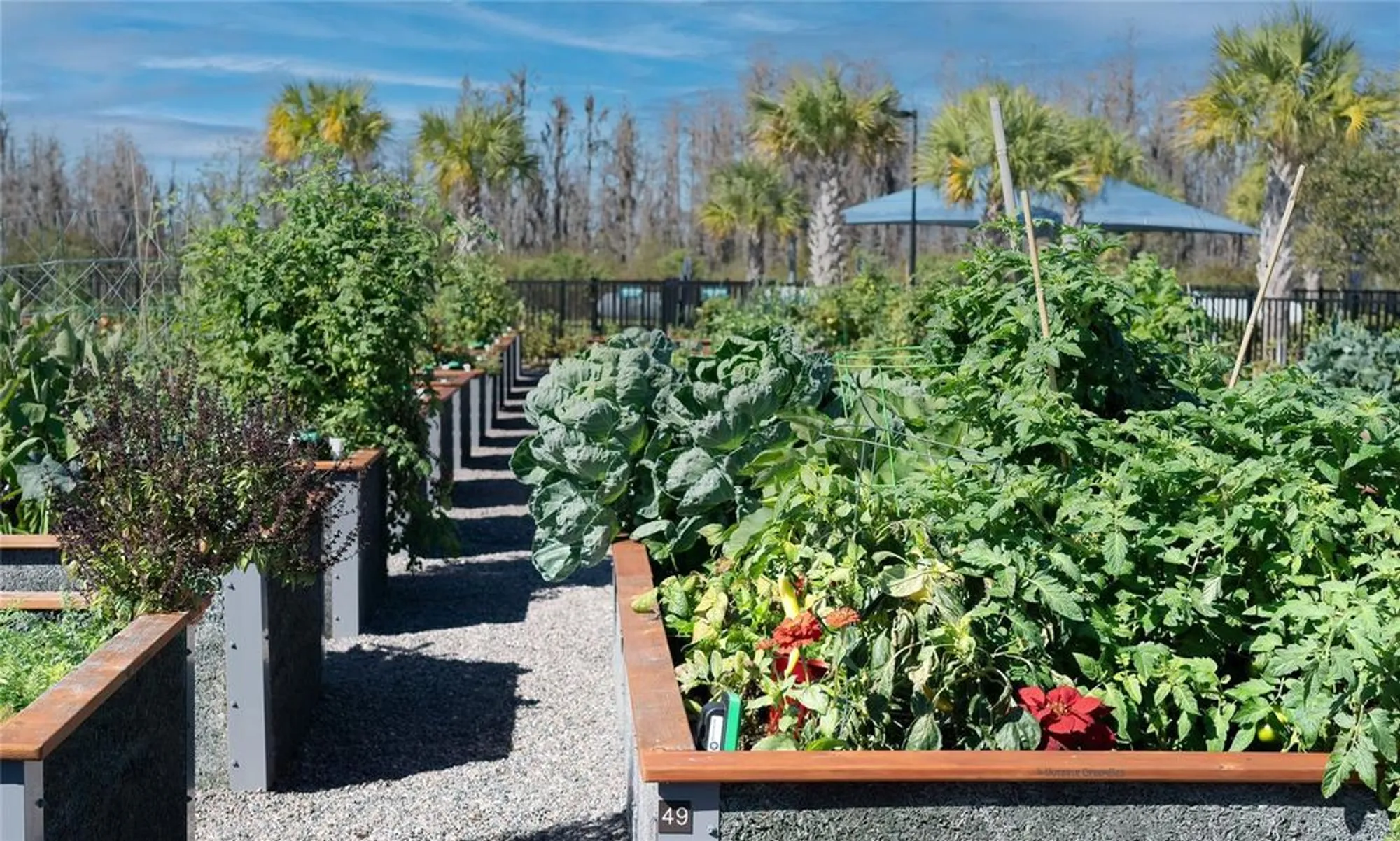 Property Slideshow image 54 of 68 | 18629 coastal shore ter, Land O Lakes, FL, 34638