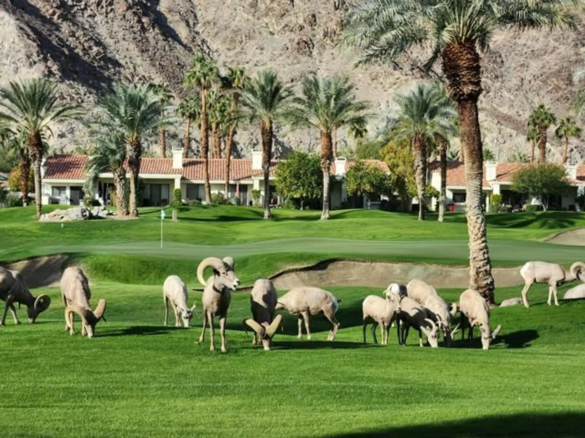 Property Slideshow image 46 of 53 | 55280 riviera, La Quinta, CA, 92253