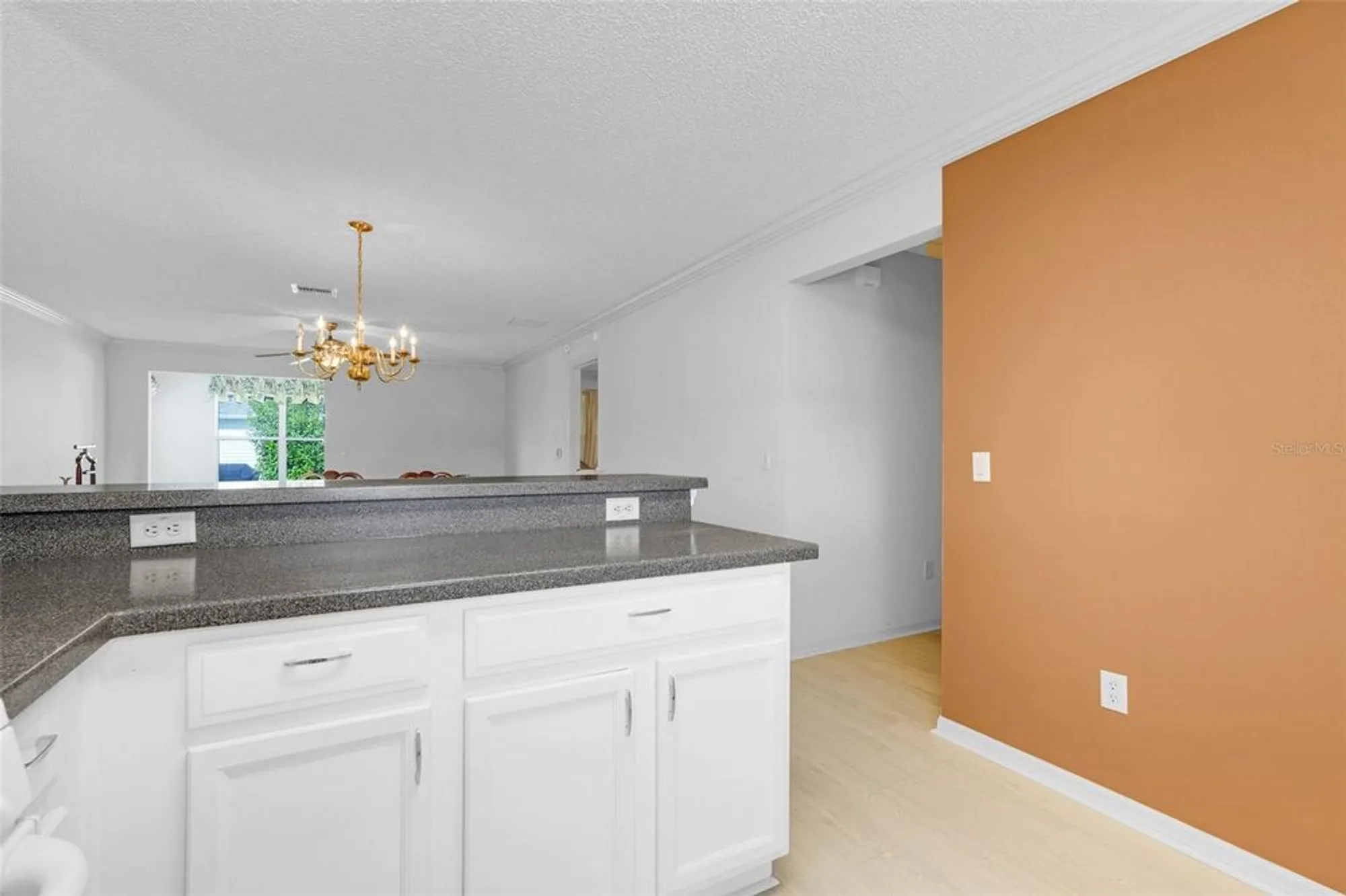 Property Slideshow image 17 of 40 | 870 henderson ln, The Villages, FL, 32162