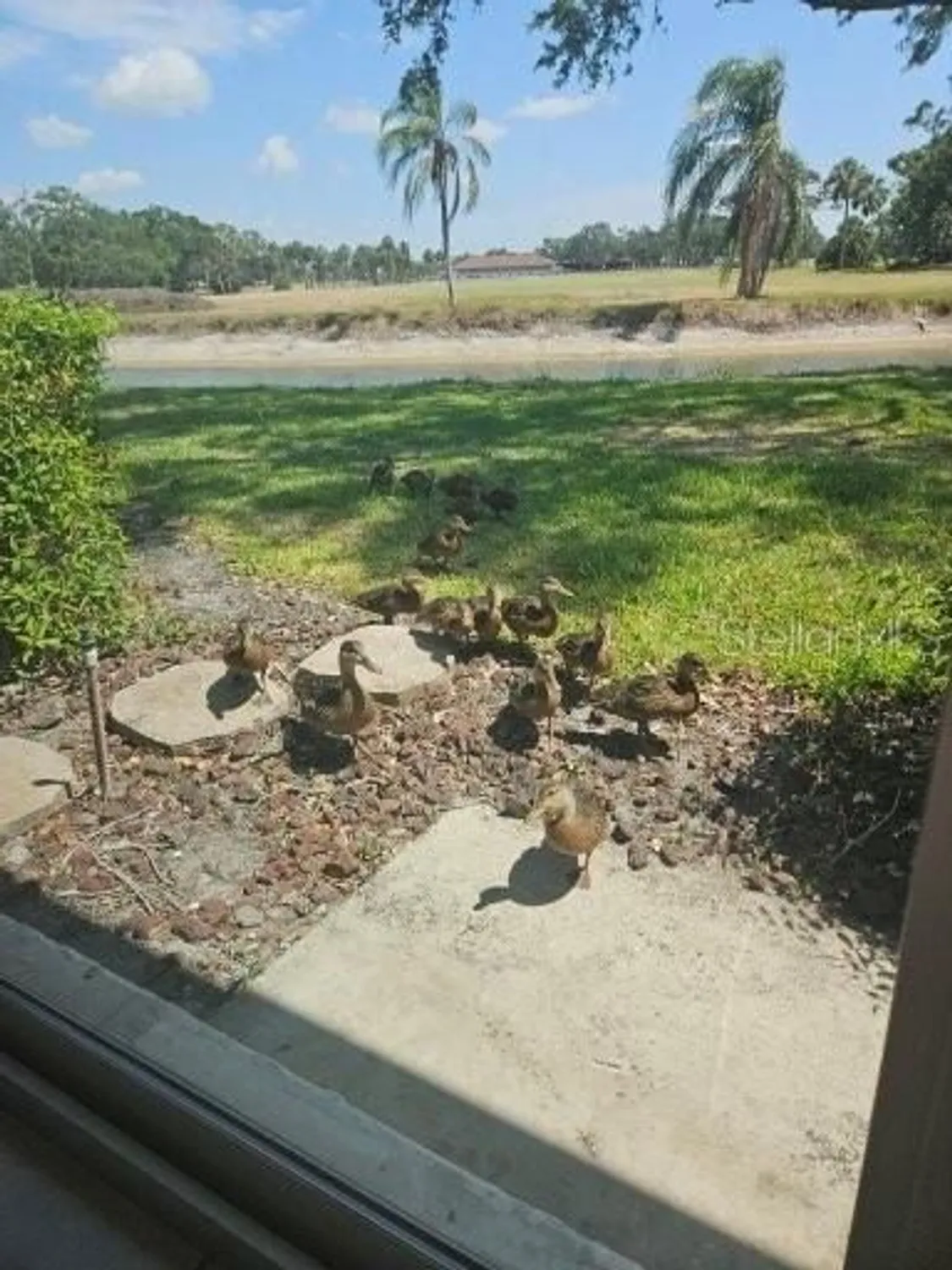 Property Slideshow image 59 of 95 | 7320 golf pointe cir, Sarasota, FL, 34243