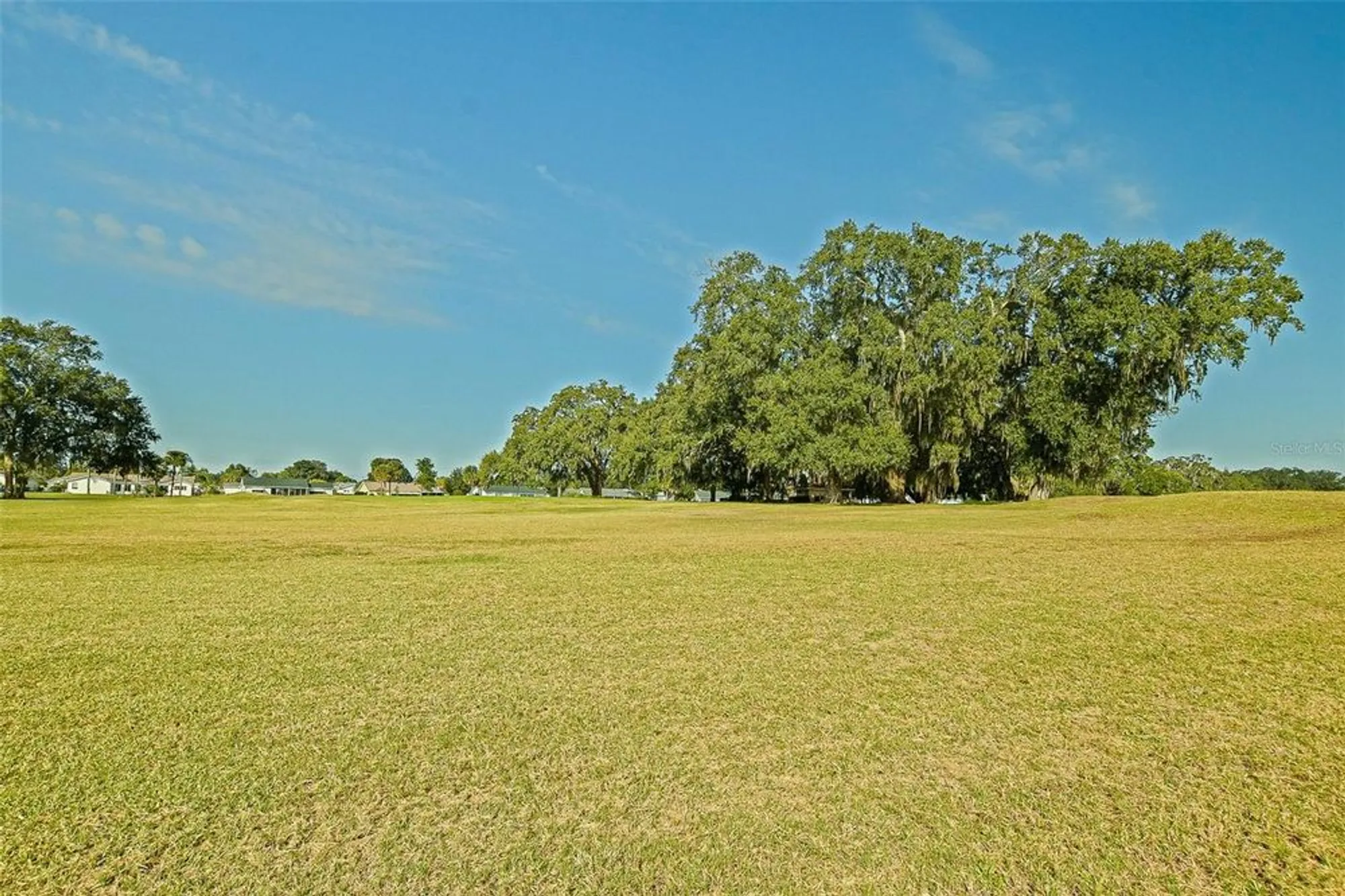 Property Slideshow image 9 of 45 | 17920 se 100th ter, Summerfield, FL, 34491