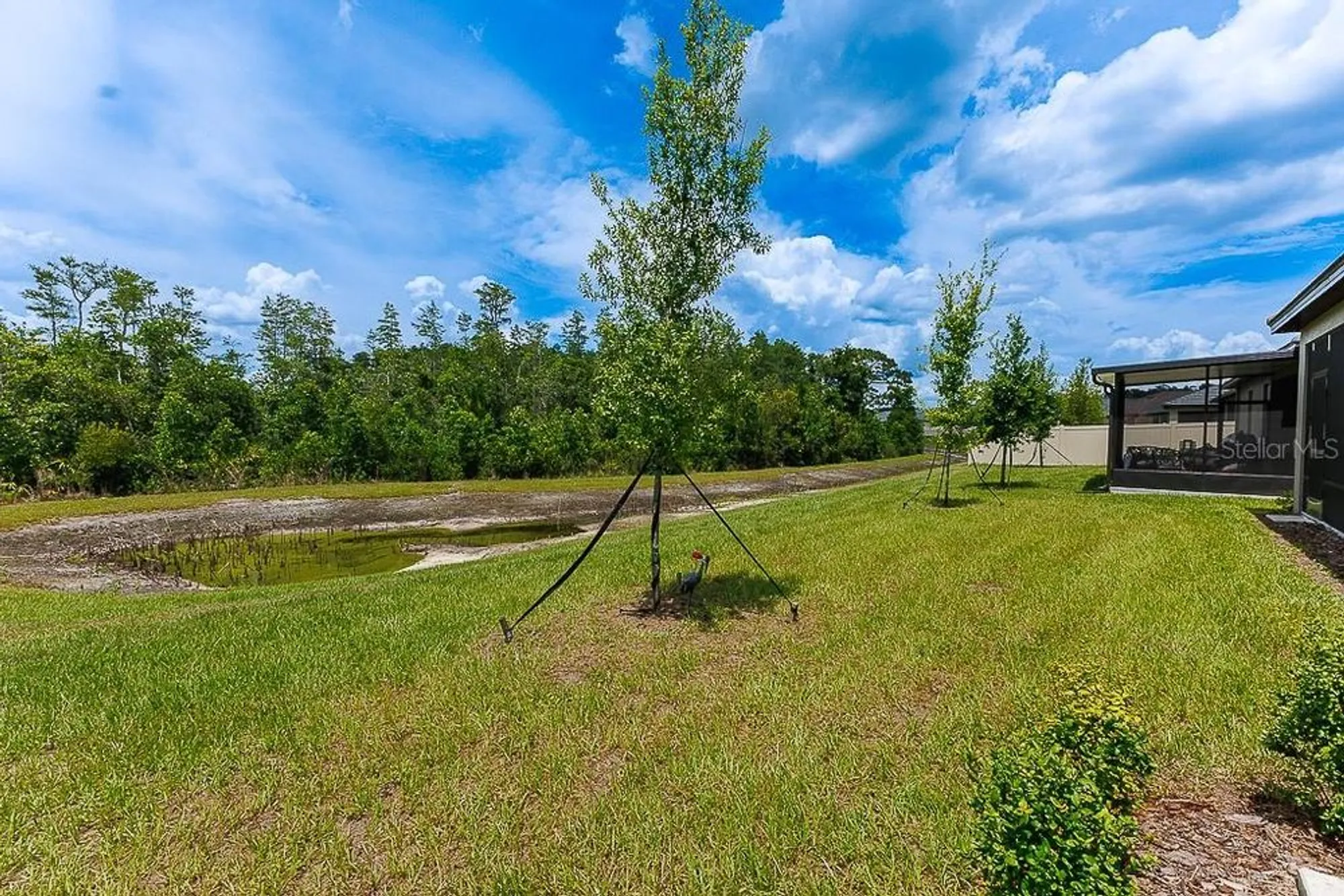 Property Slideshow image 47 of 77 | 10367 banyan breeze blvd, Land O Lakes, FL, 34638