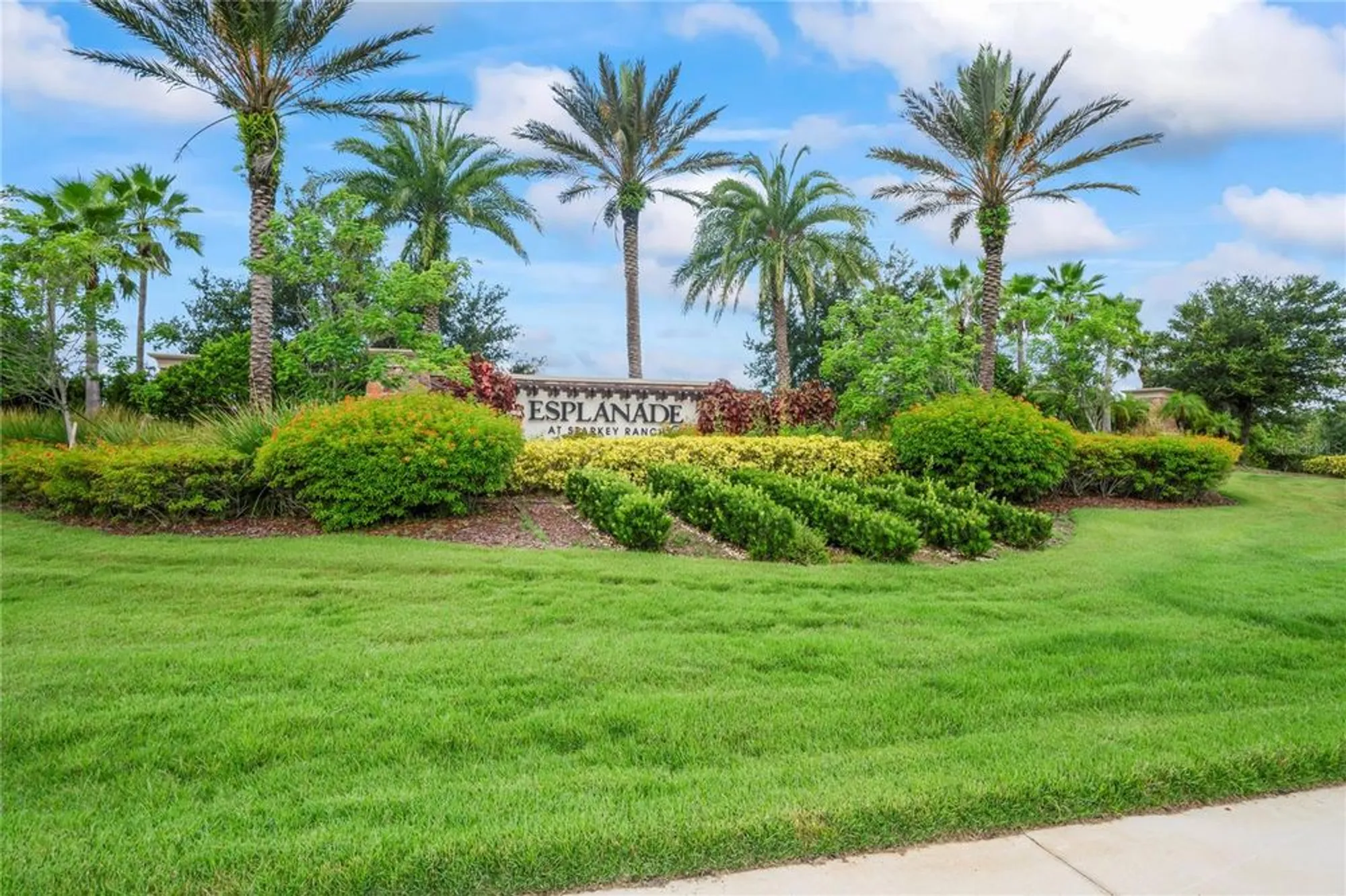 Property Slideshow image 77 of 91 | 11223 egeria dr, Odessa, FL, 33556
