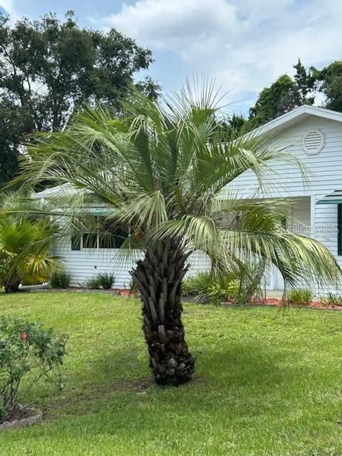 Property Slideshow image 38 of 46 | 8602 sw 116th place rd, Ocala, FL, 34481