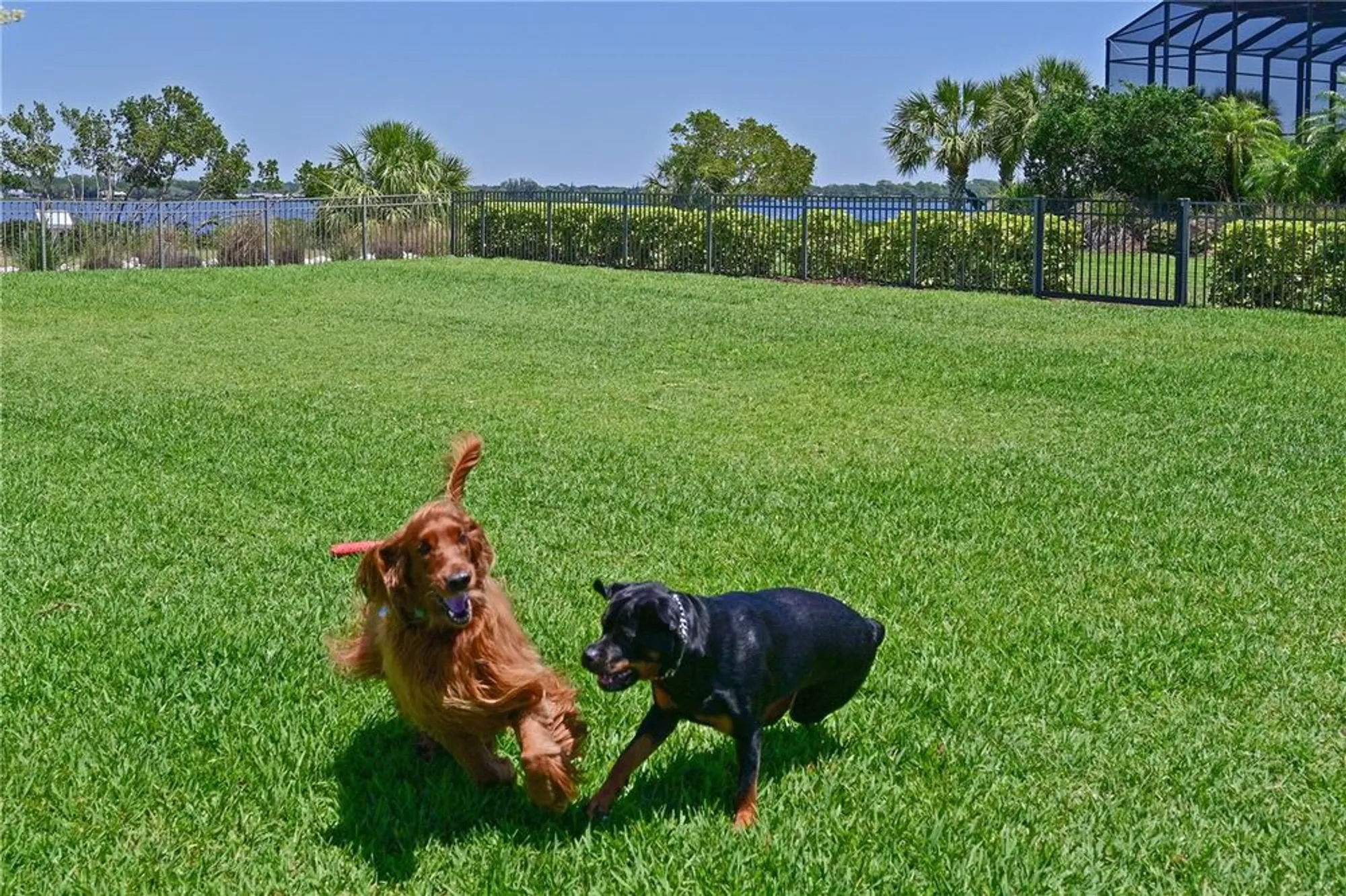 Property Slideshow image 66 of 97 | 1020 tidewater shores loop unit 108, Bradenton, FL, 34208