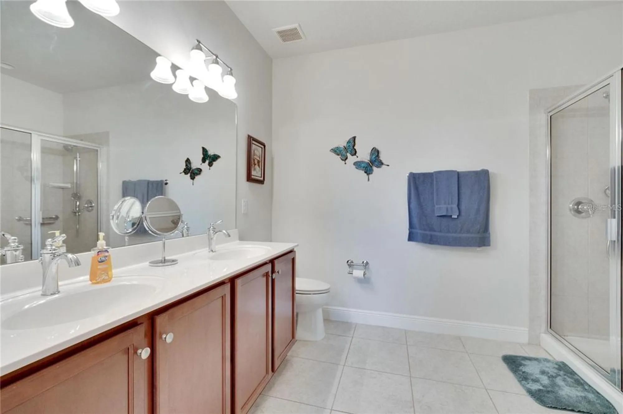 Property Slideshow image 18 of 36 | 5648 sunset falls dr, Apollo Beach, FL, 33572