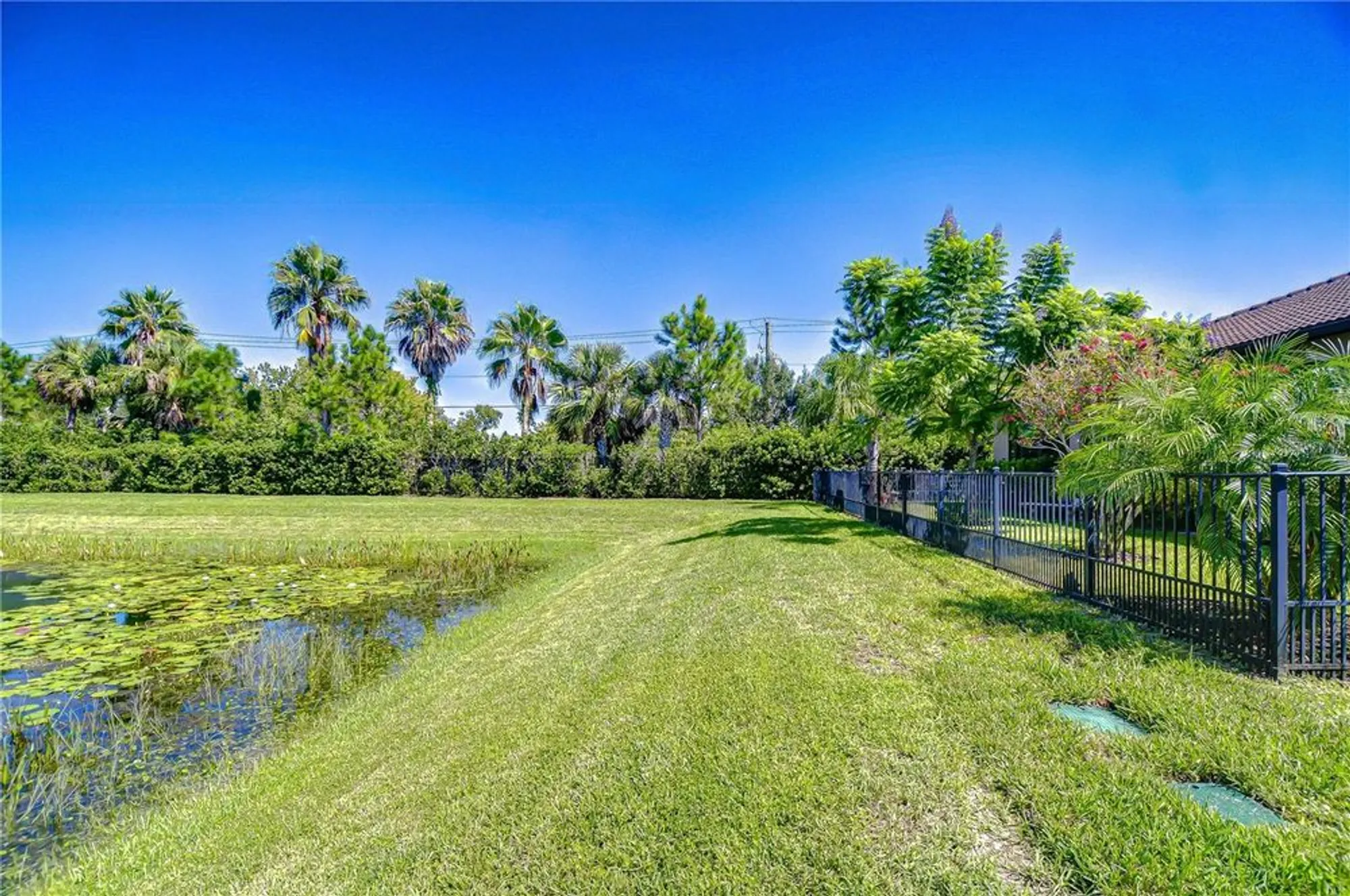 Property Slideshow image 42 of 52 | 15303 valencia del sol st, Wimauma, FL, 33598
