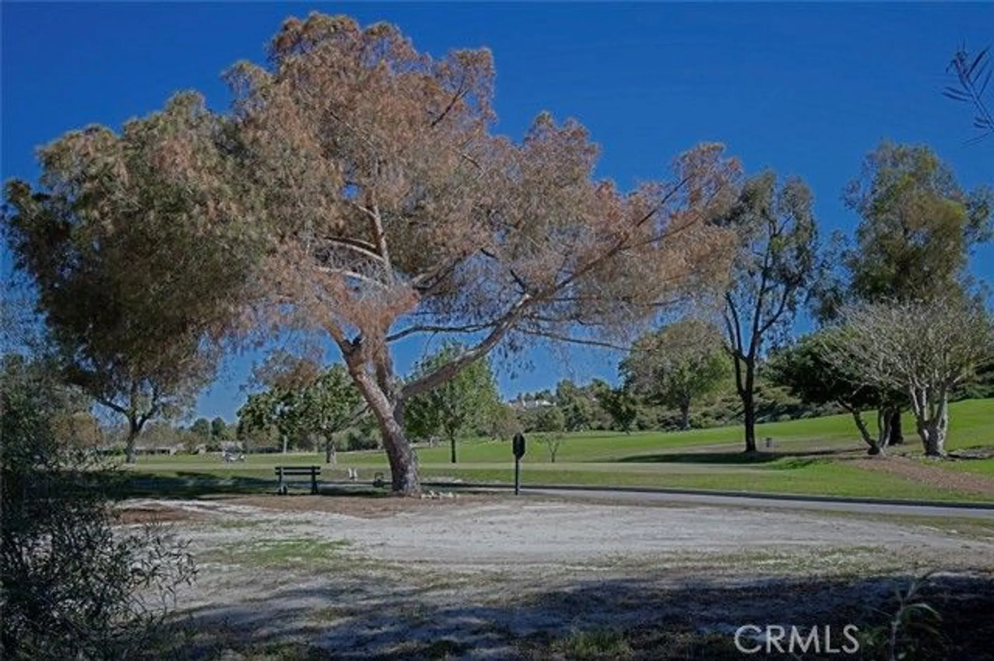 Property Slideshow image 58 of 66 | 27252 via callejon b, San Juan Capistrano, CA, 92675