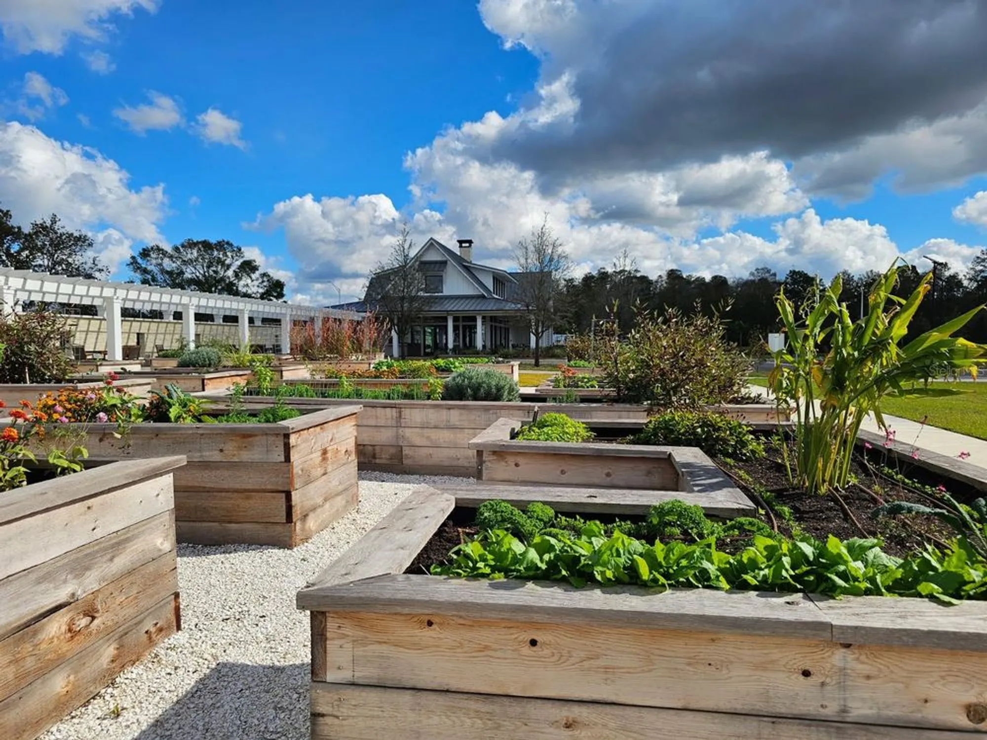 Property Slideshow image 34 of 39 | 16816 shell bay dr, Land O Lakes, FL, 34638