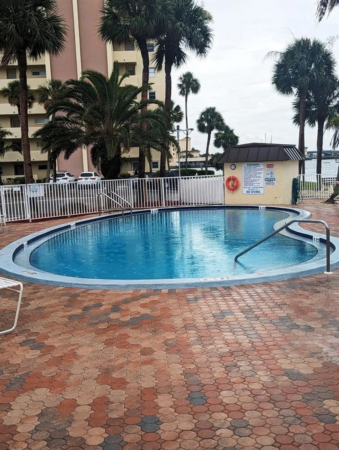 Property Slideshow image 51 of 61 | 4725 cove cir apt 908, St Petersburg, FL, 33708